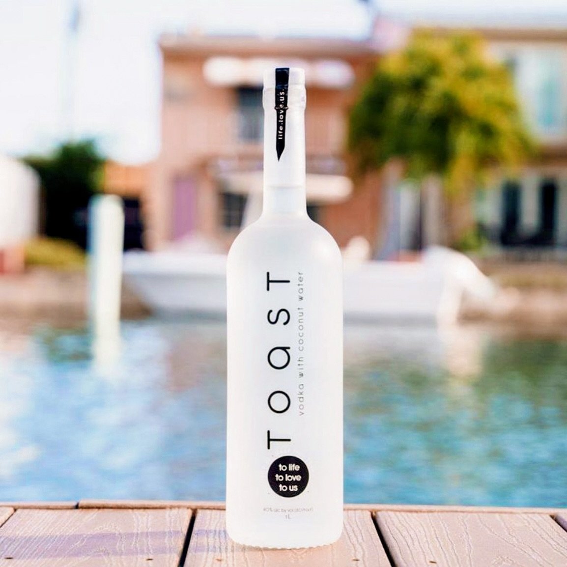 Friday feels like the perfect excuse for a little Toast Vodka celebration! Toast to the start of the weekend!🍸

 #FridayToast #toastvodka #explore