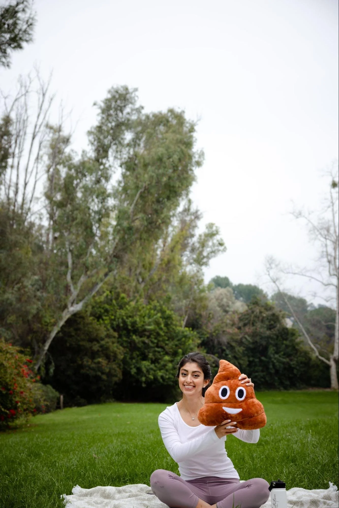 Gut Health and Mental Health: Understanding the Gut–Brain Connection