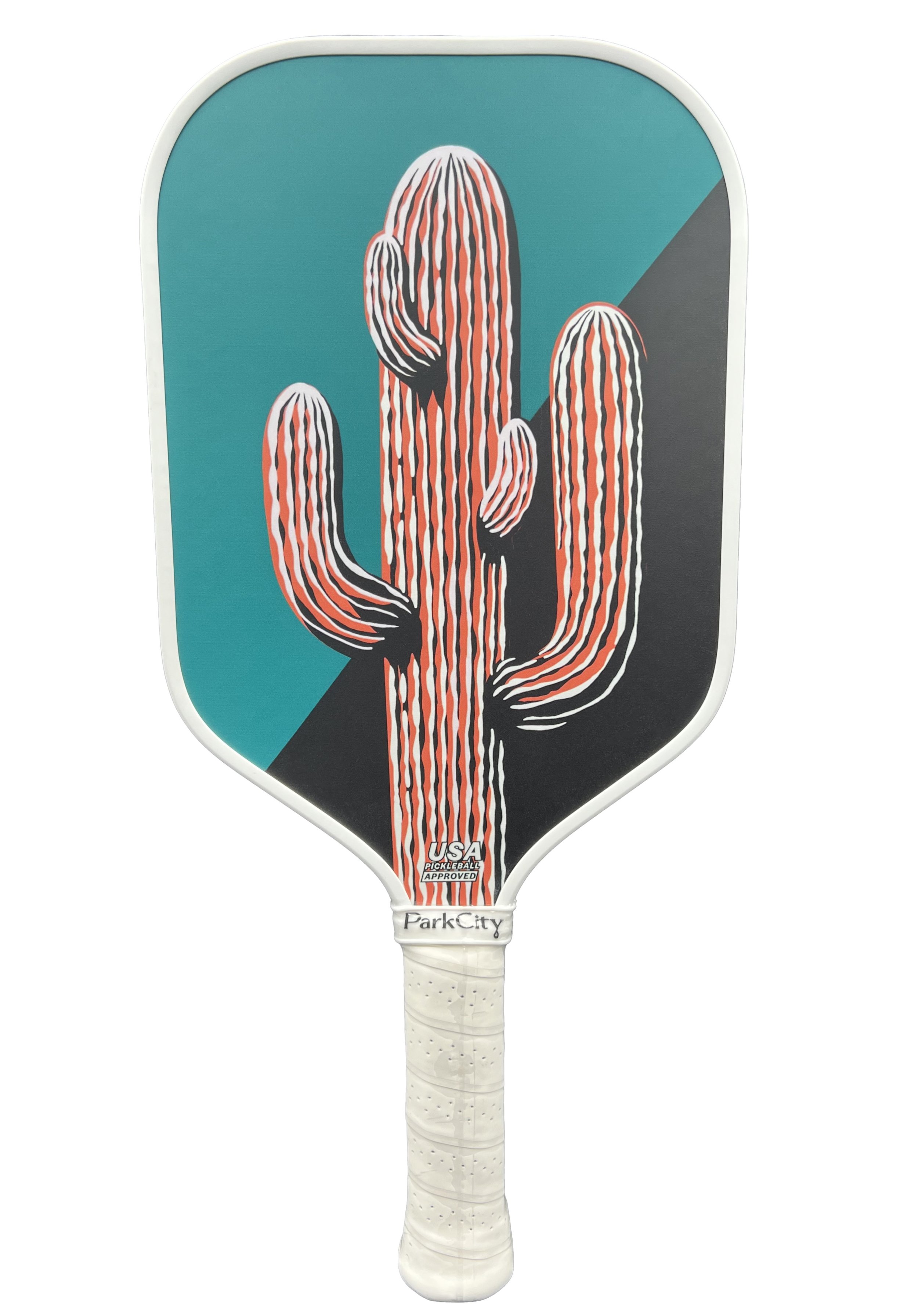 cactus -1-final.jpeg