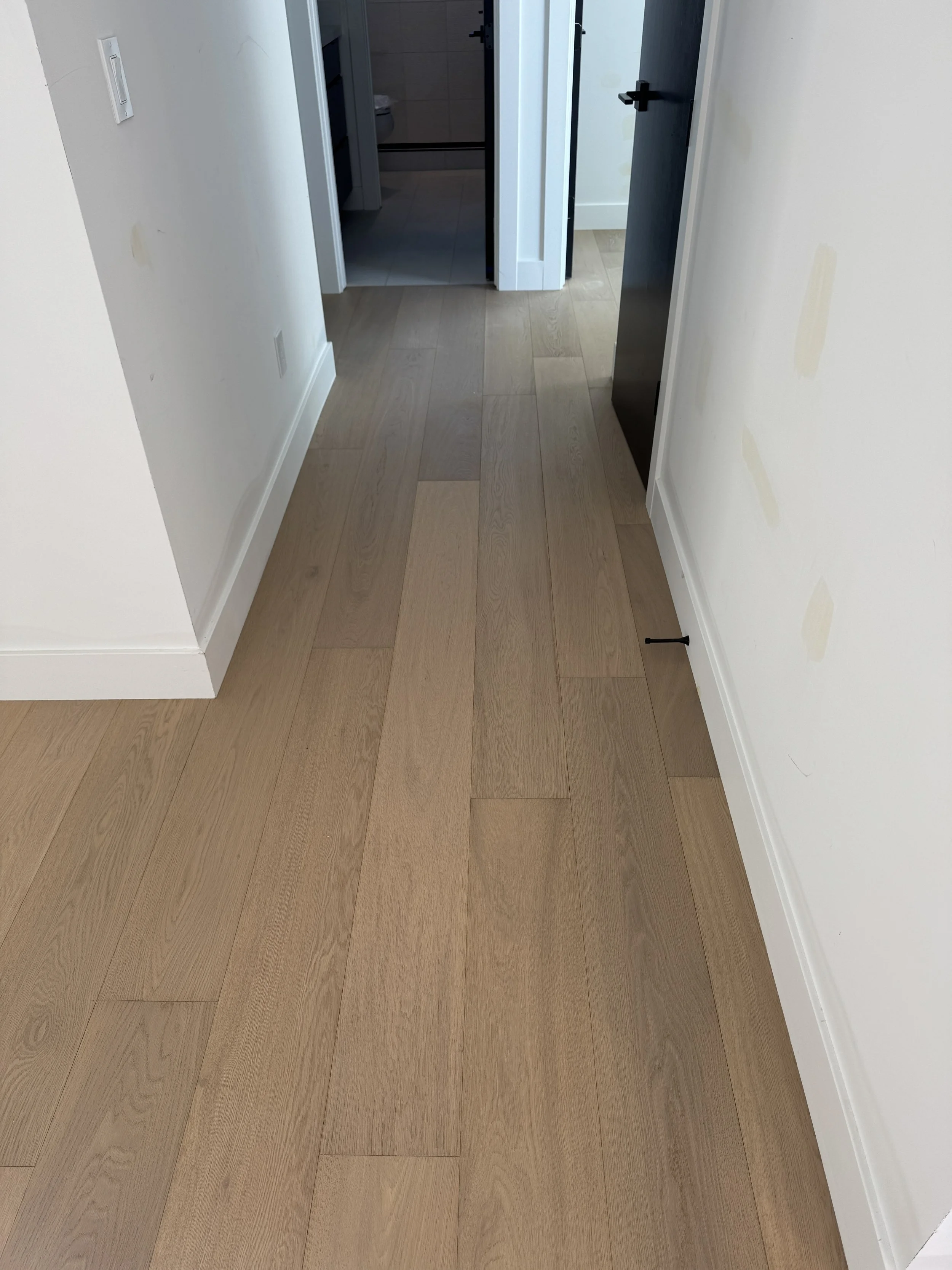 Provenza - Affinity - Delight  7.5"