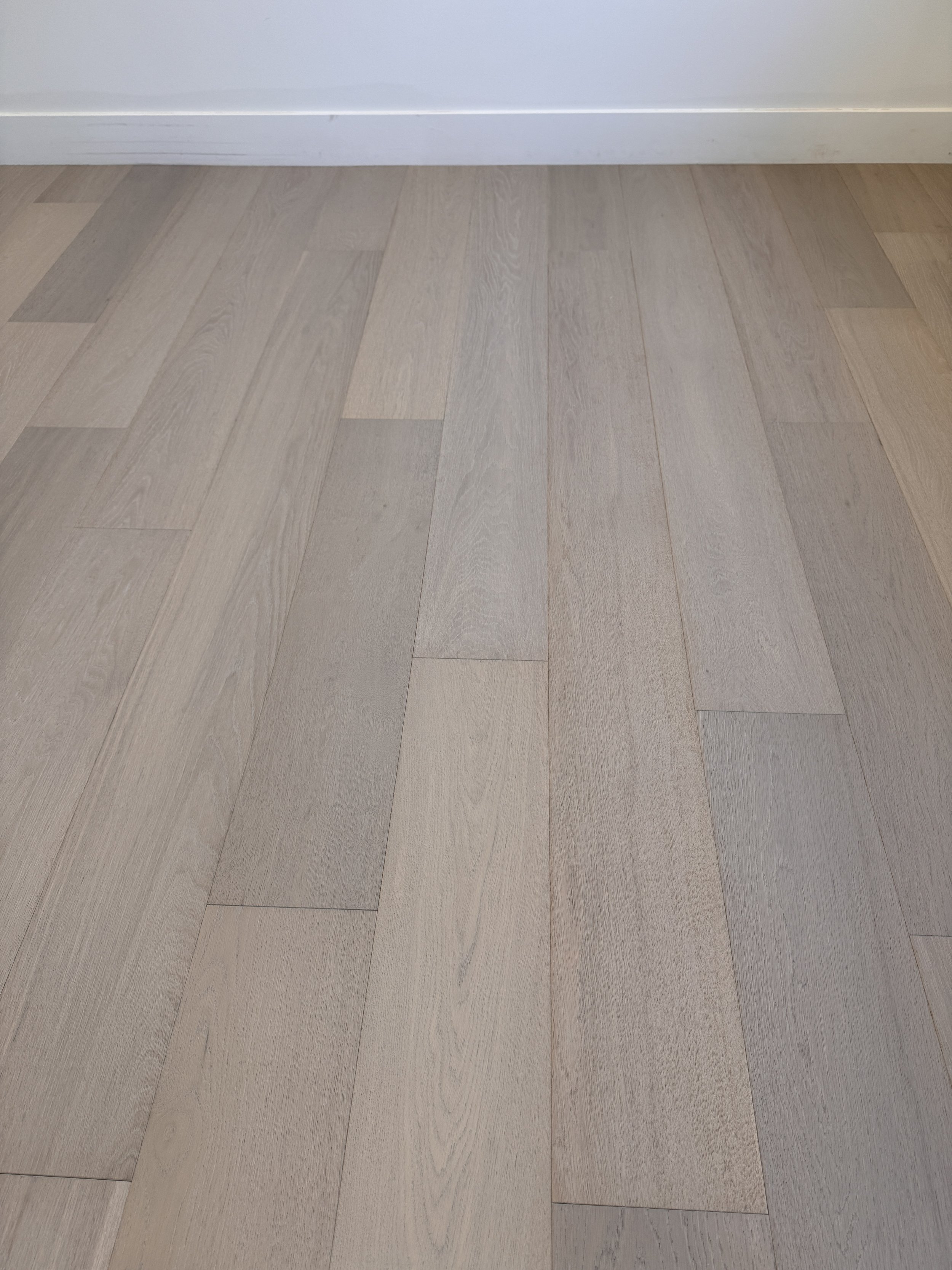 Provenza - New York loft - Ferry Point  7.5"