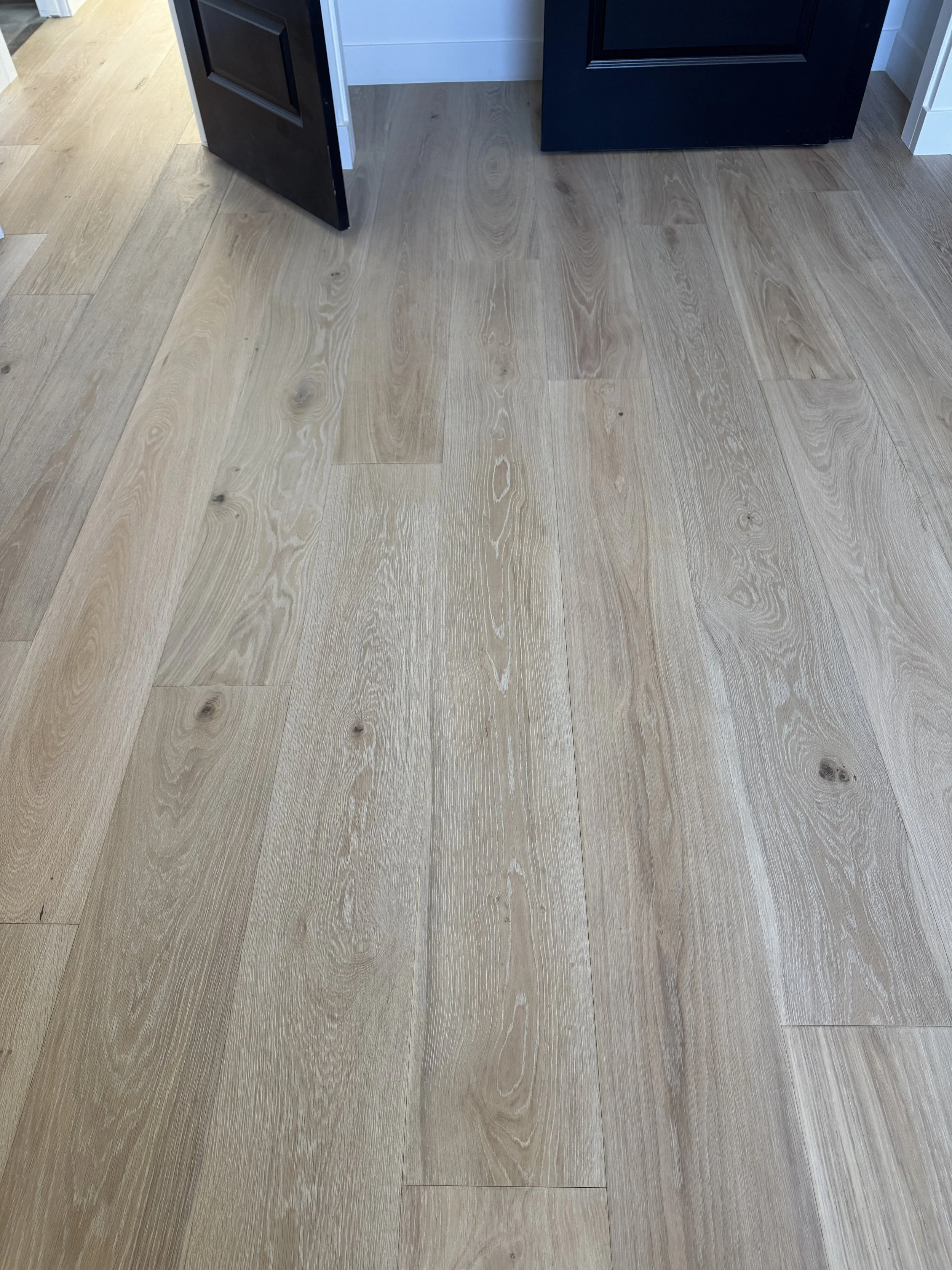 California Classics - Mediterranean Collection 9.5" - Belluno