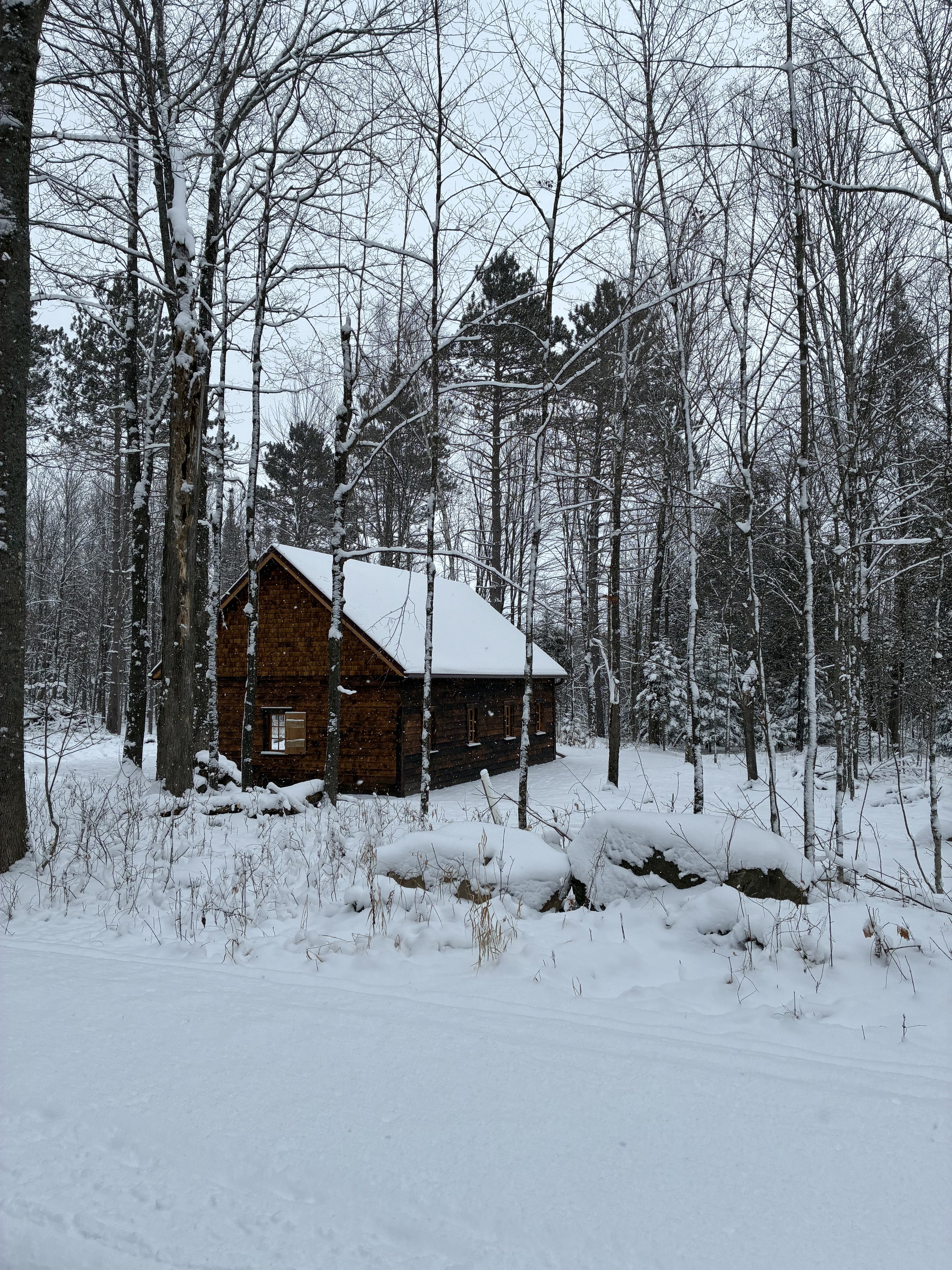 A wooden cabin surrounded by snow-covered trees and ground in a winter landscape.