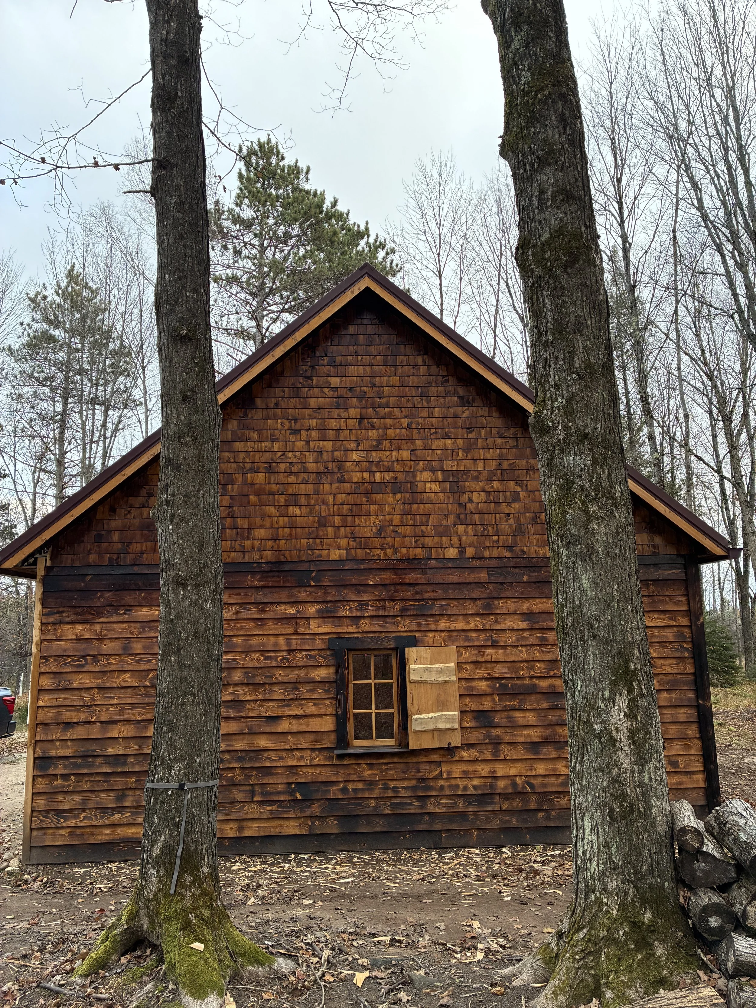 A wooden cabin with a shingled roof, partially obscured by two trees in a forested area, with fallen leaves and logs on the ground.