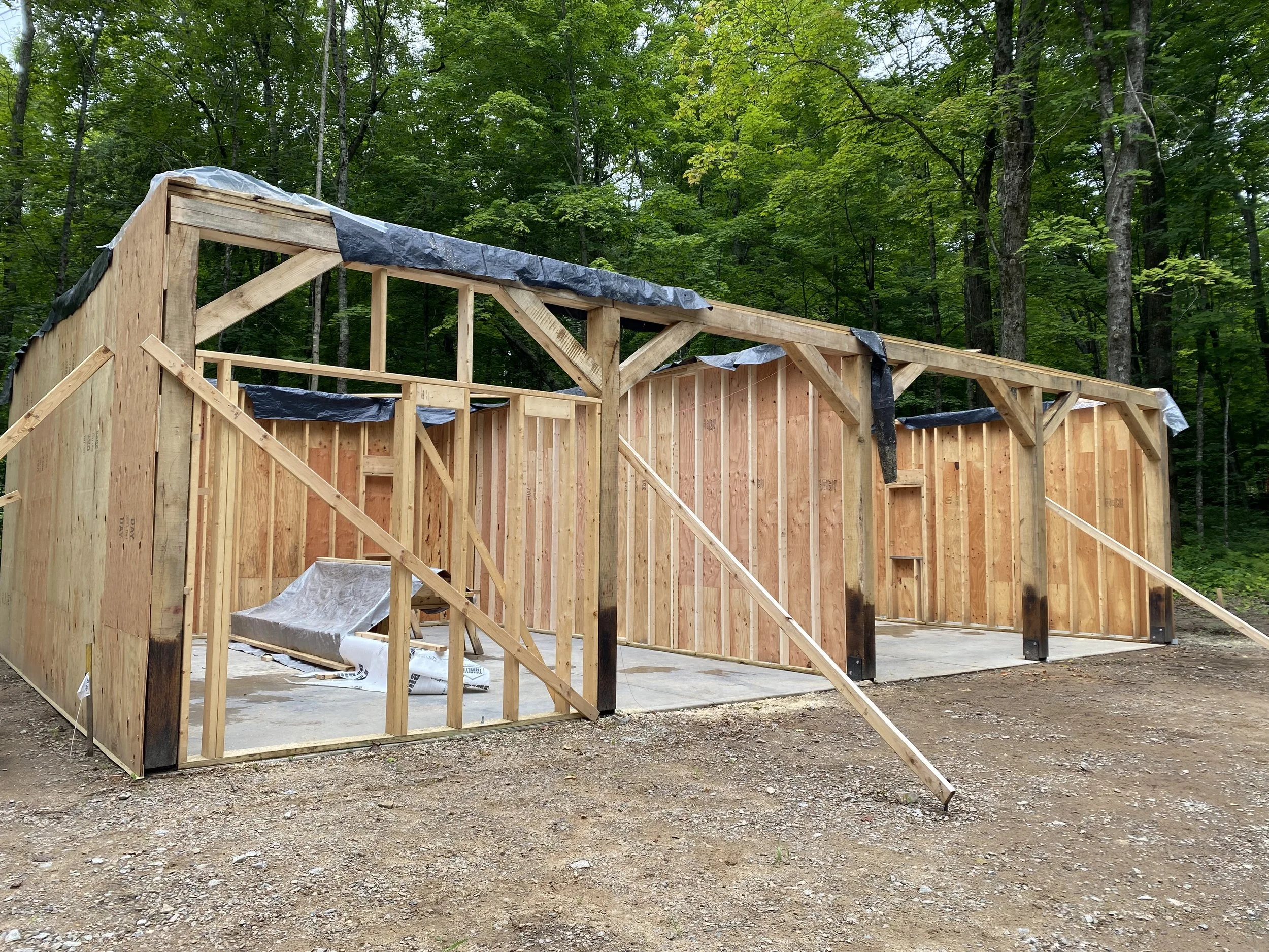 Wooden house frame under construction in a wooded area, with plywood walls partially installed and construction materials on the ground.