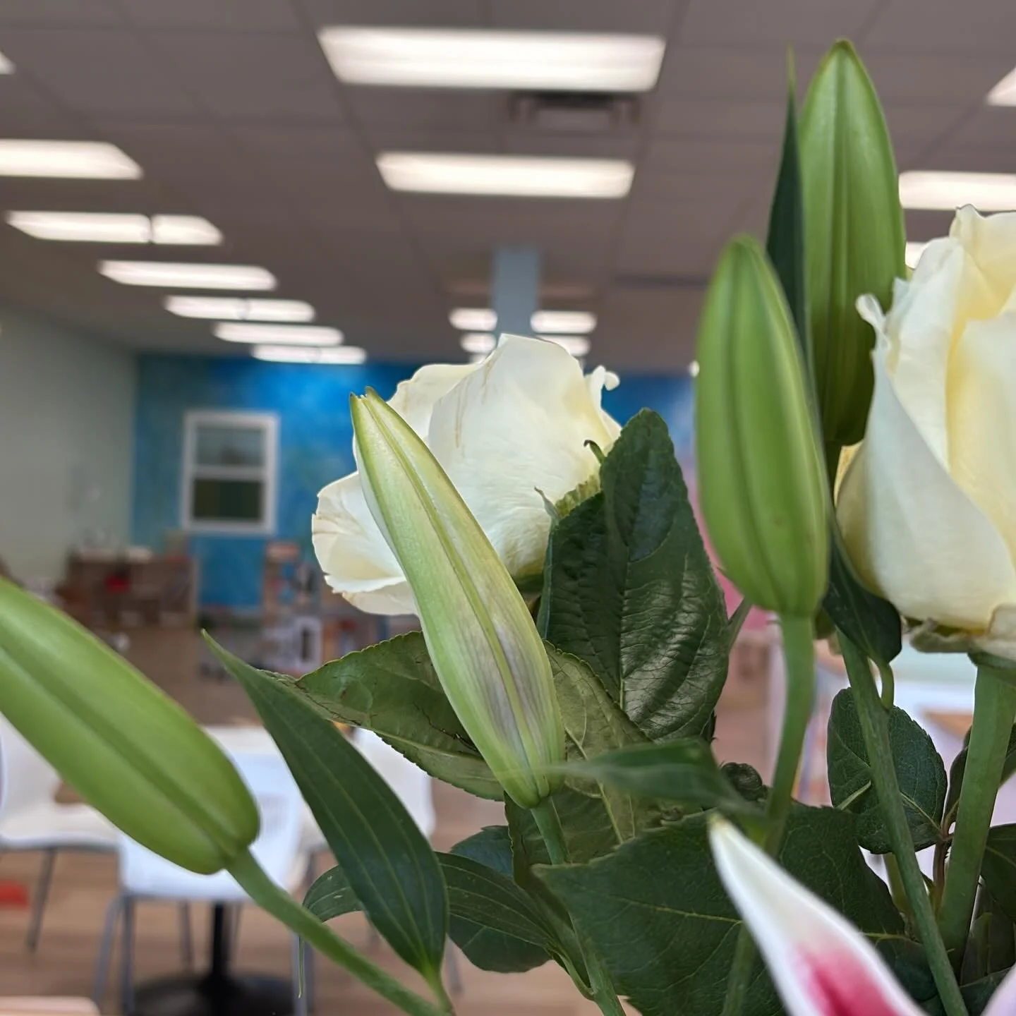 We have felt the love. Thank you for sharing so much love as we announced our closure earlier this week. It&rsquo;s a rollercoaster of emotional and we are feeling all the big feelings here along with many of you. 
&bull;
Please join us during our fi