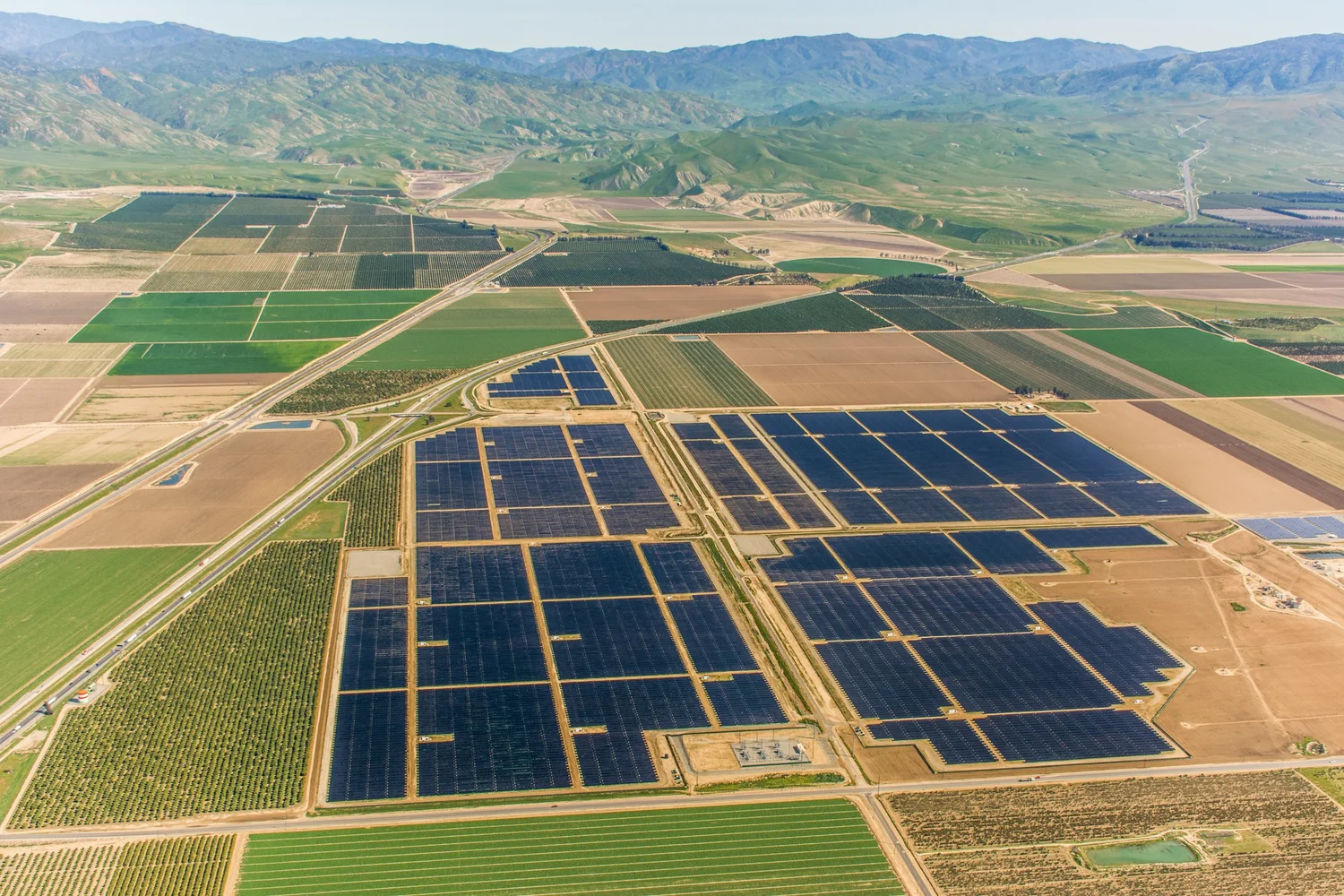 Buttonbush Solar Center