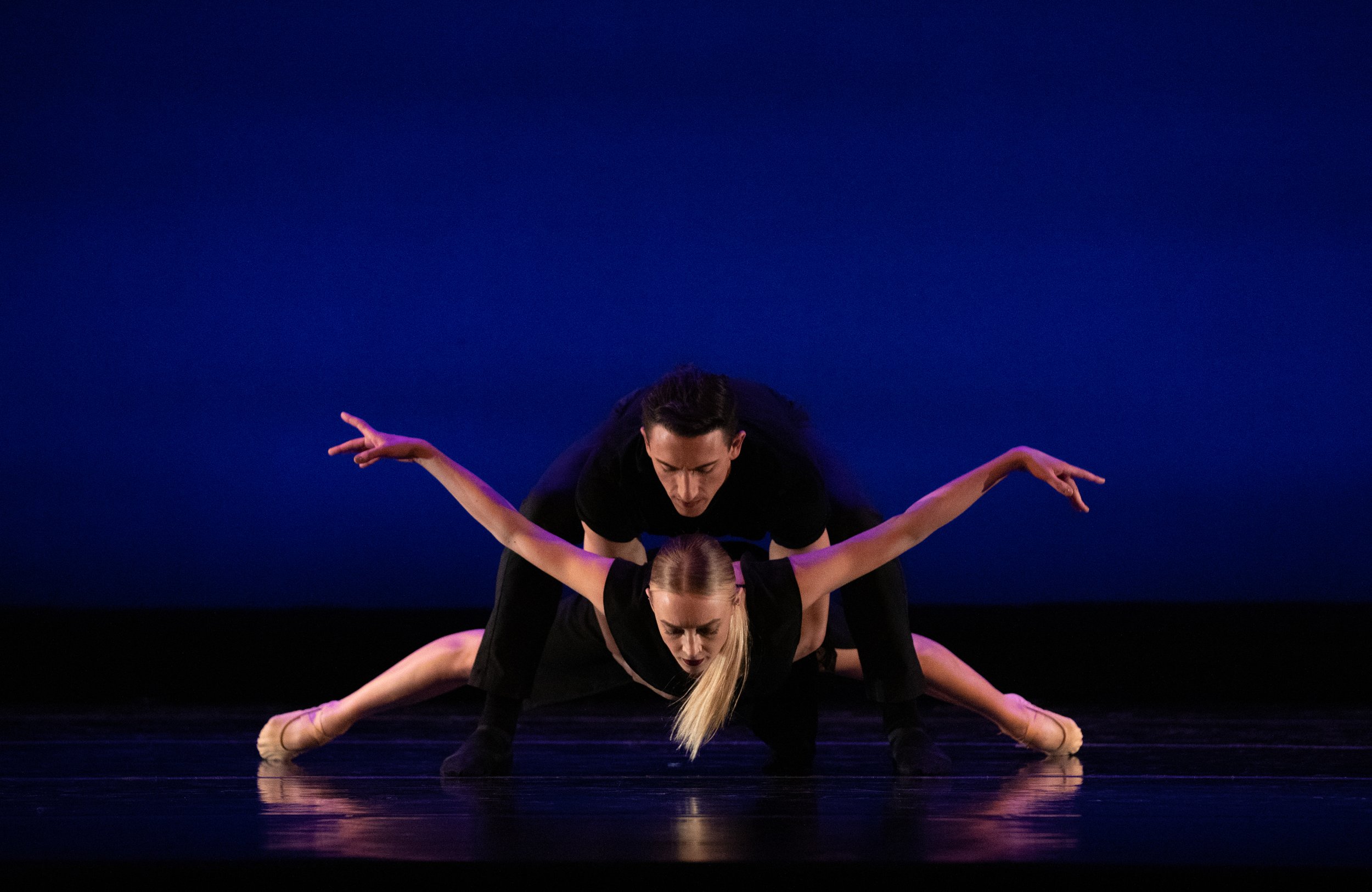 For Pixie by Danielle Rowe — DanceAspen
