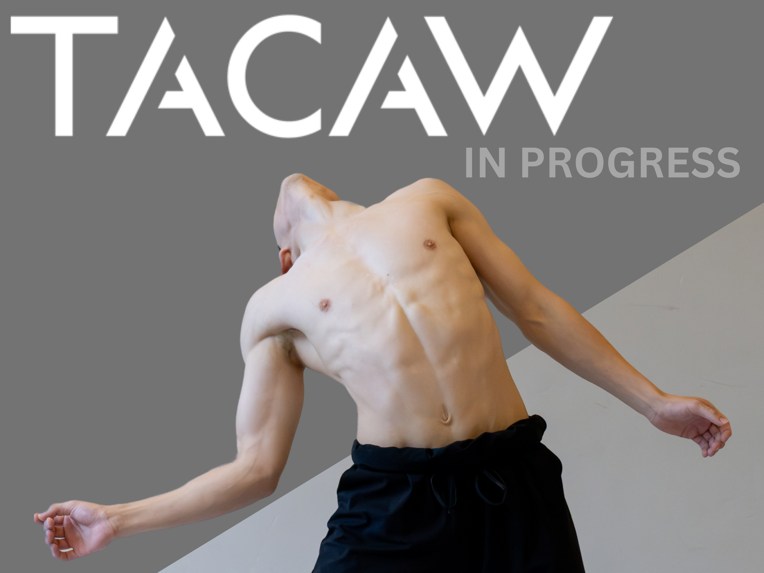 In Progress at TACAW