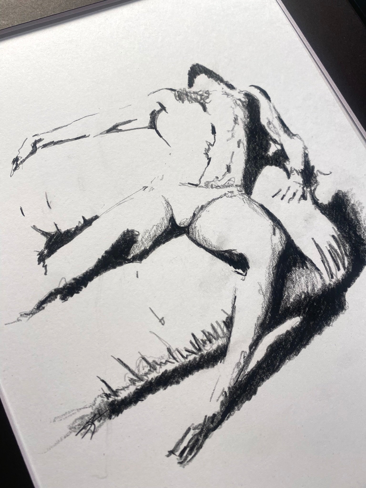 FirstTORSO_Sketch_SJC+%2811%29.jpg