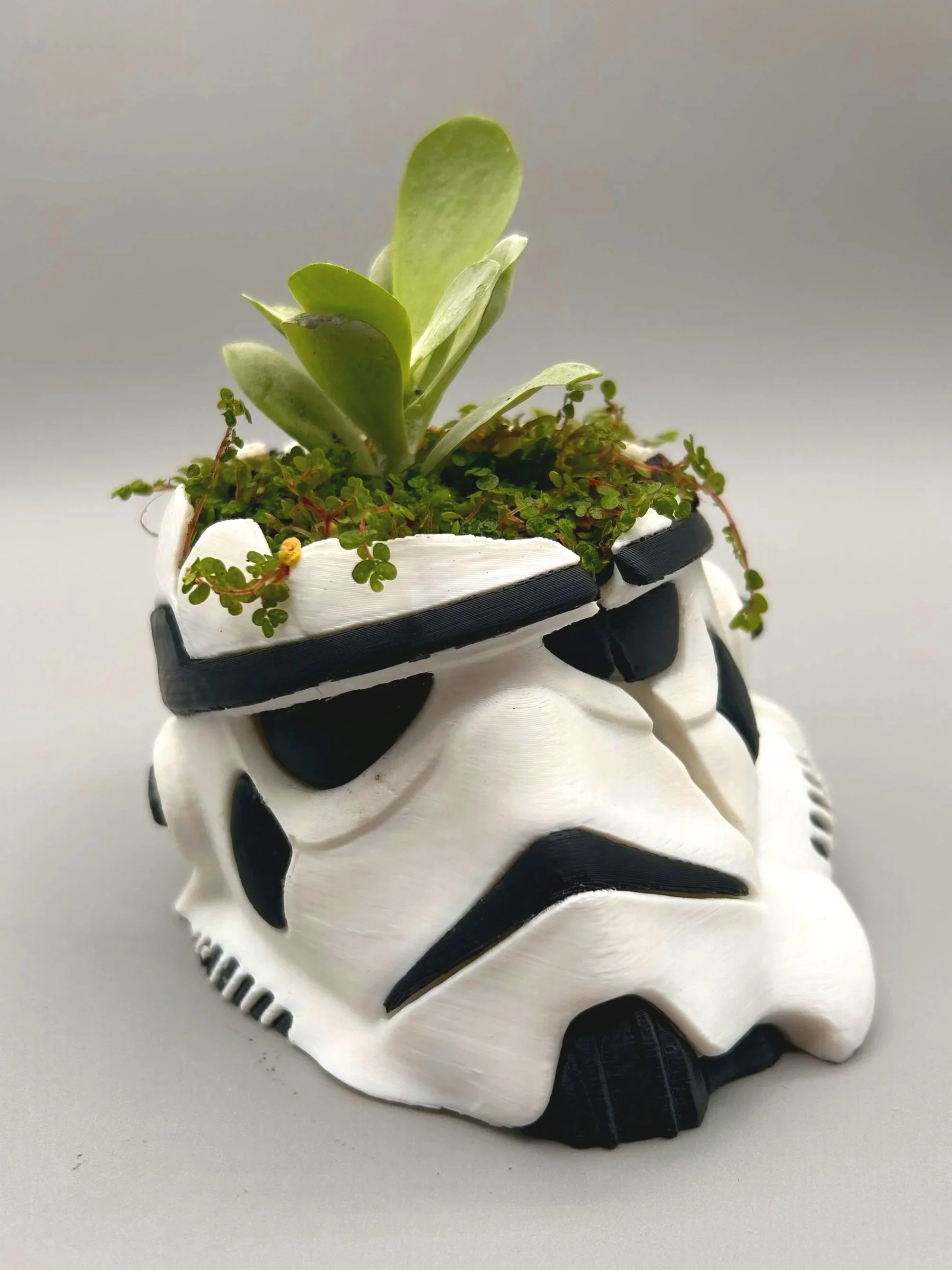 Star Wars Storm Trooper Succulent Pot Planter - Physical Product