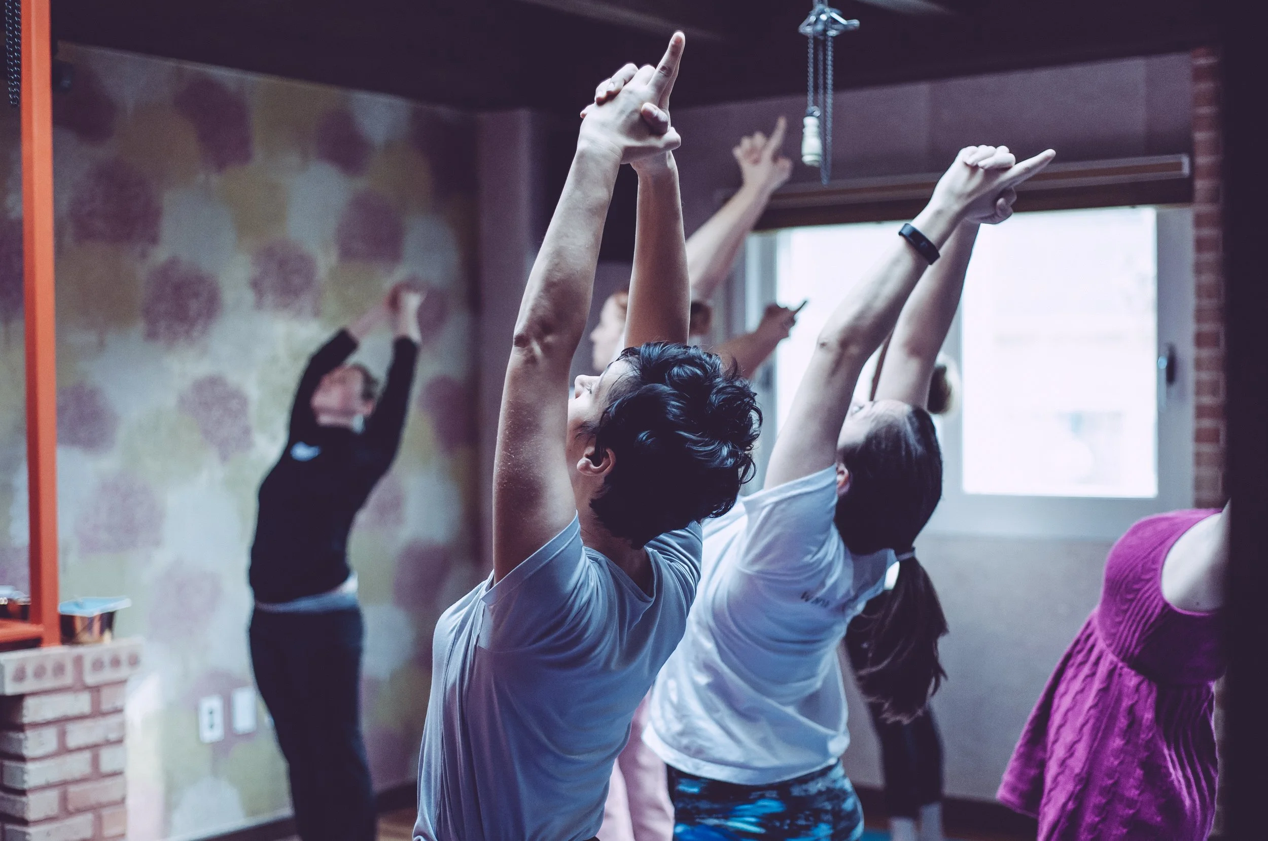 group of people practicing hatha yoga