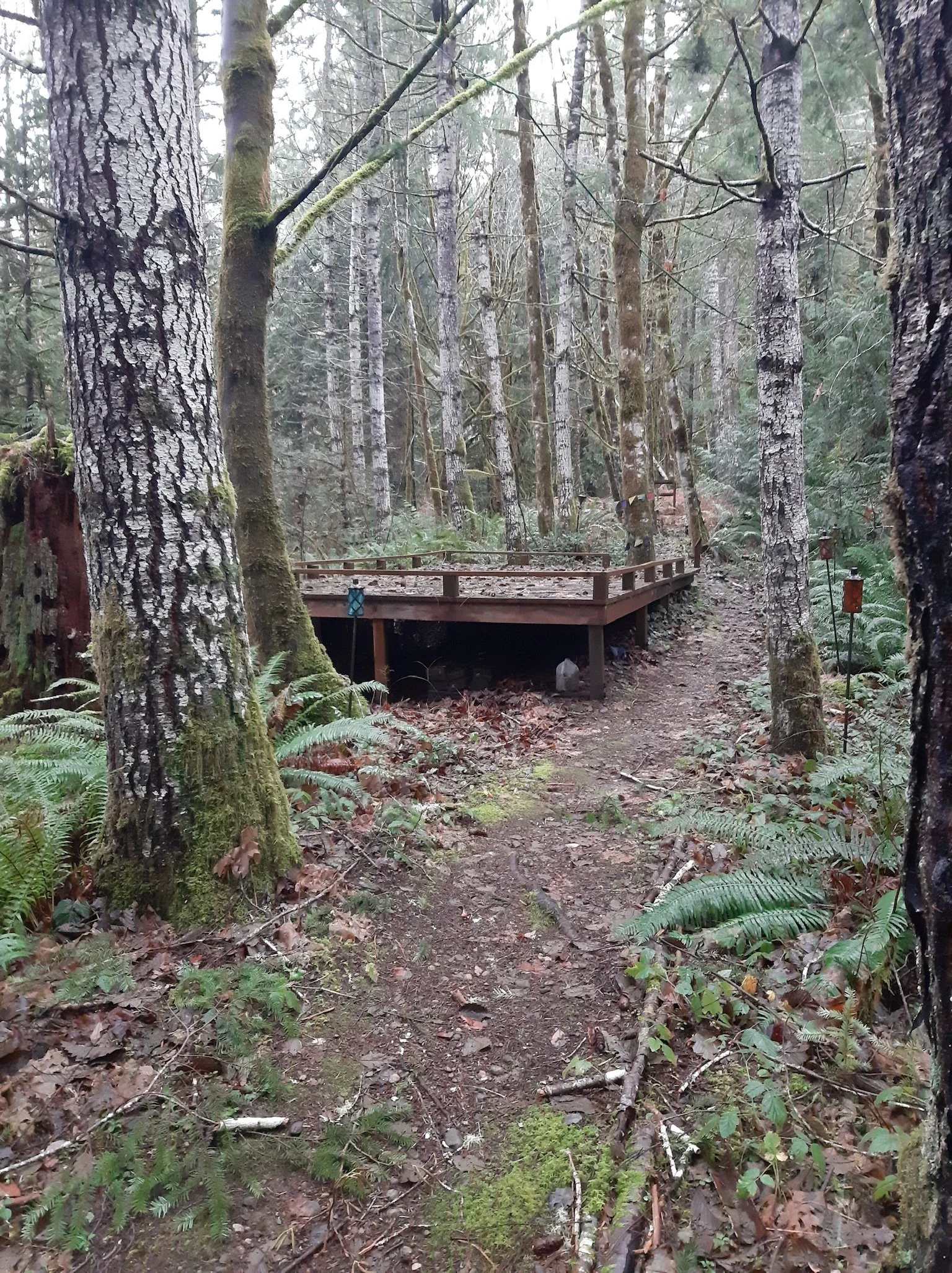 Camping Platform