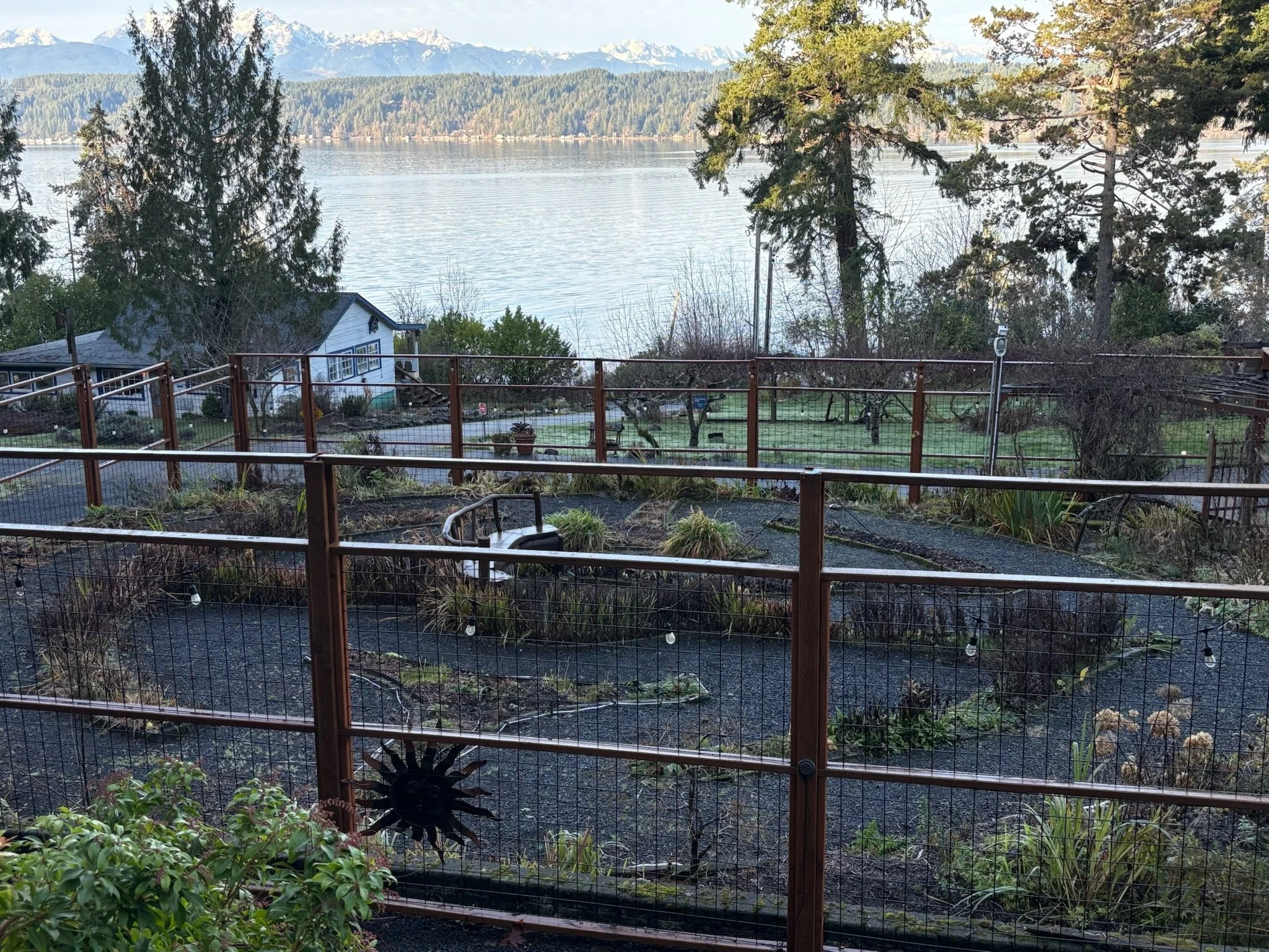 Garden and view of Hood Canal