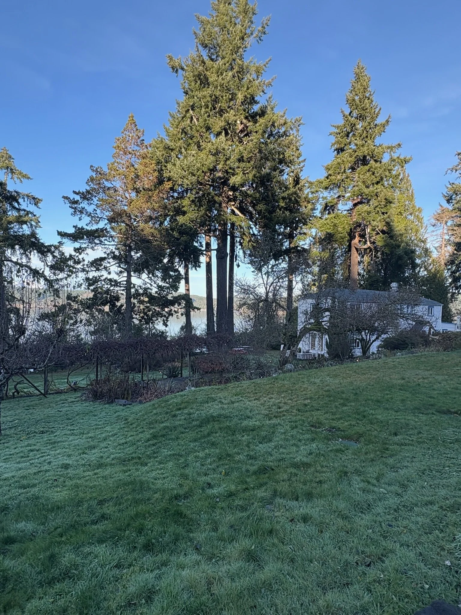 The Grounds