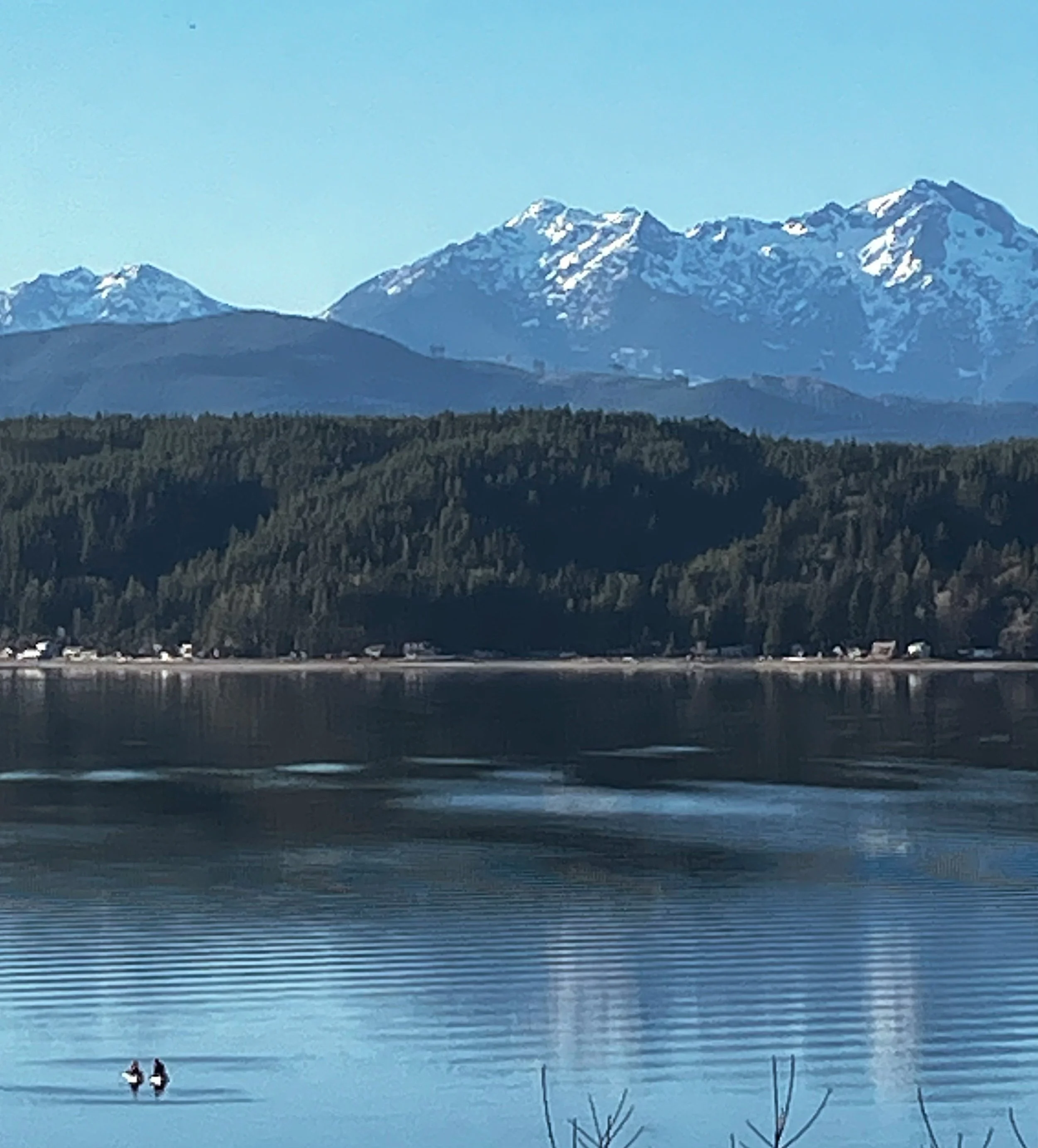 Hood Canal and Olympic Mountains