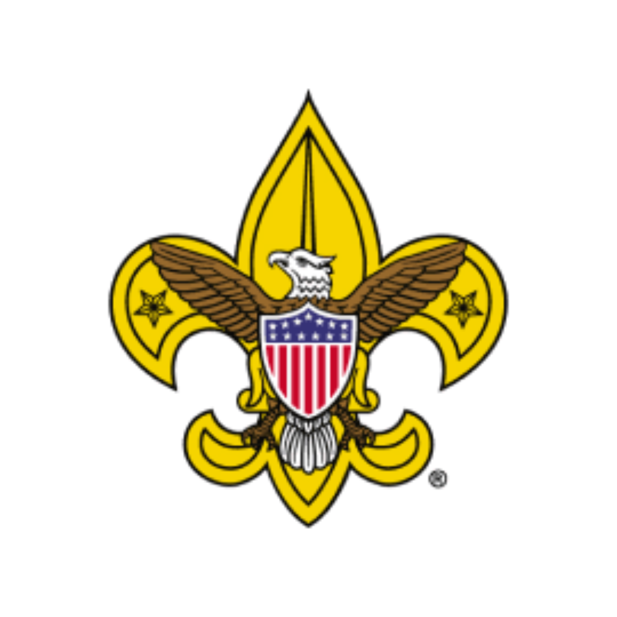 Troop 400 Logo