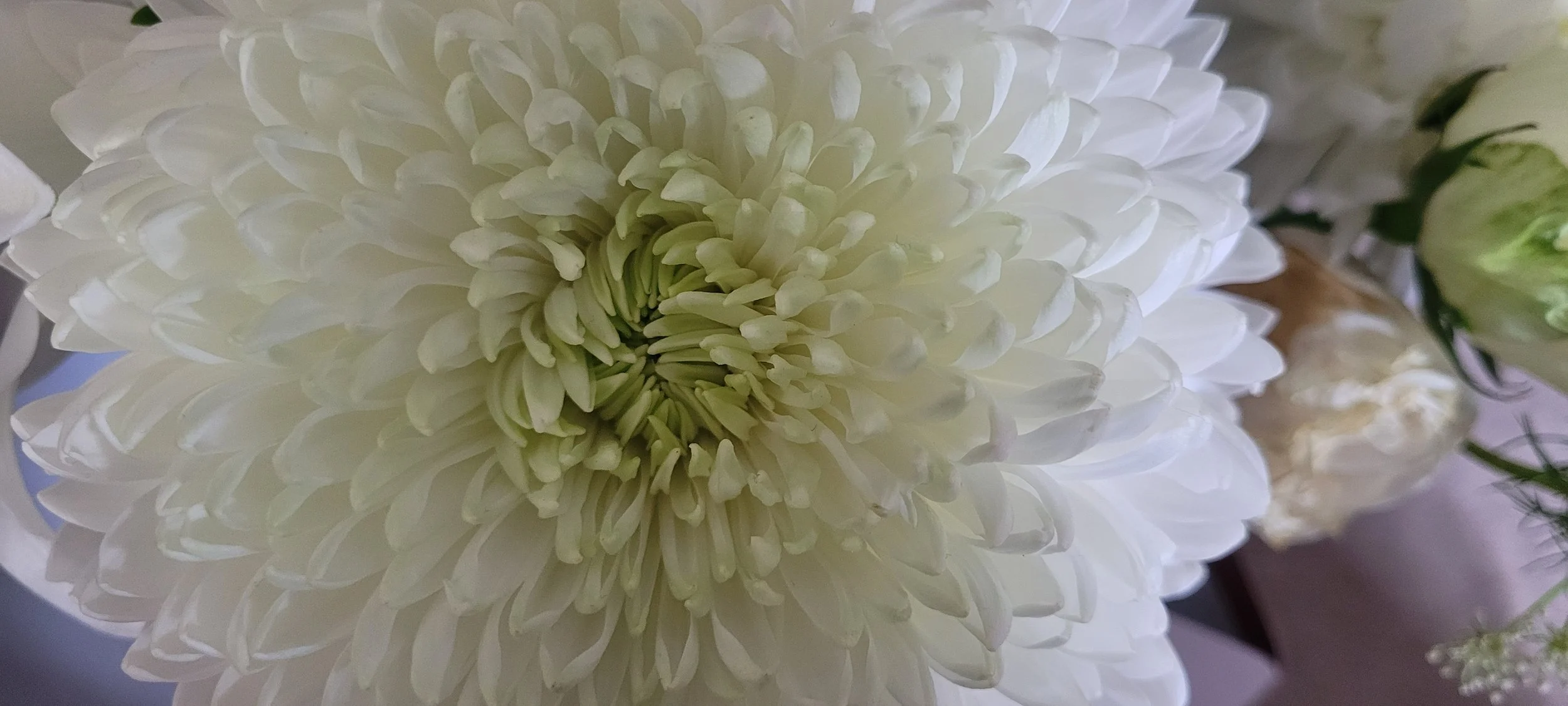 Spring Equinox Cacao, Cards and Reiki Journey