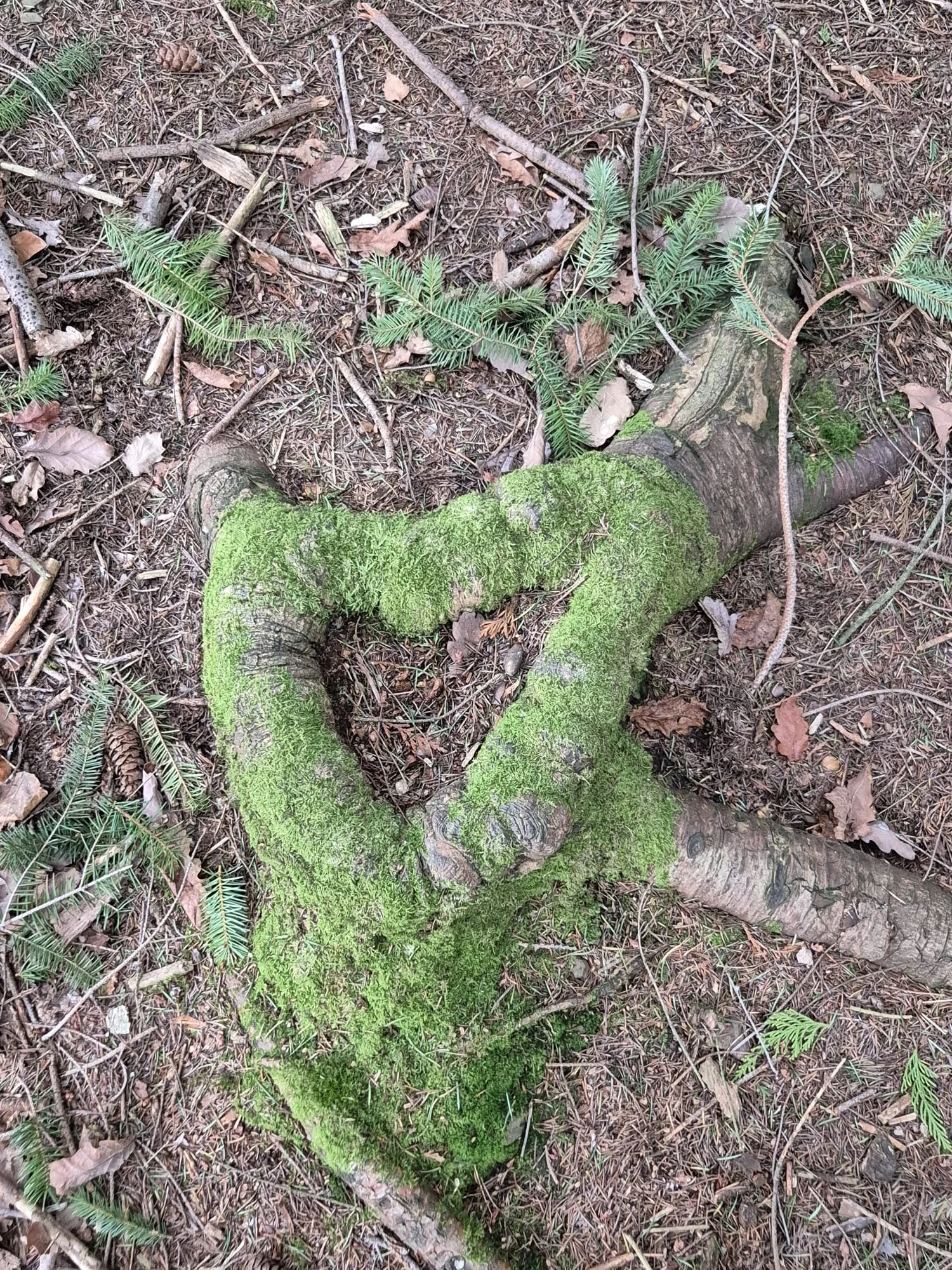 Nature photography walk.jpg