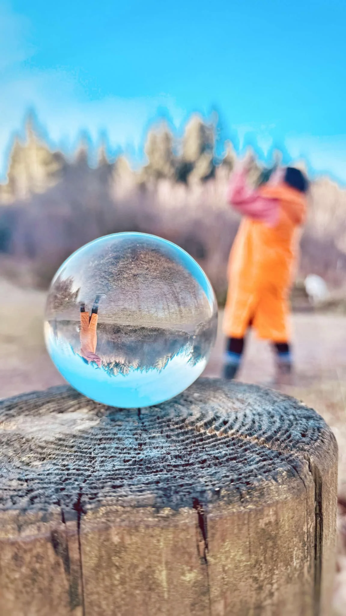 nature photography pic.jpg