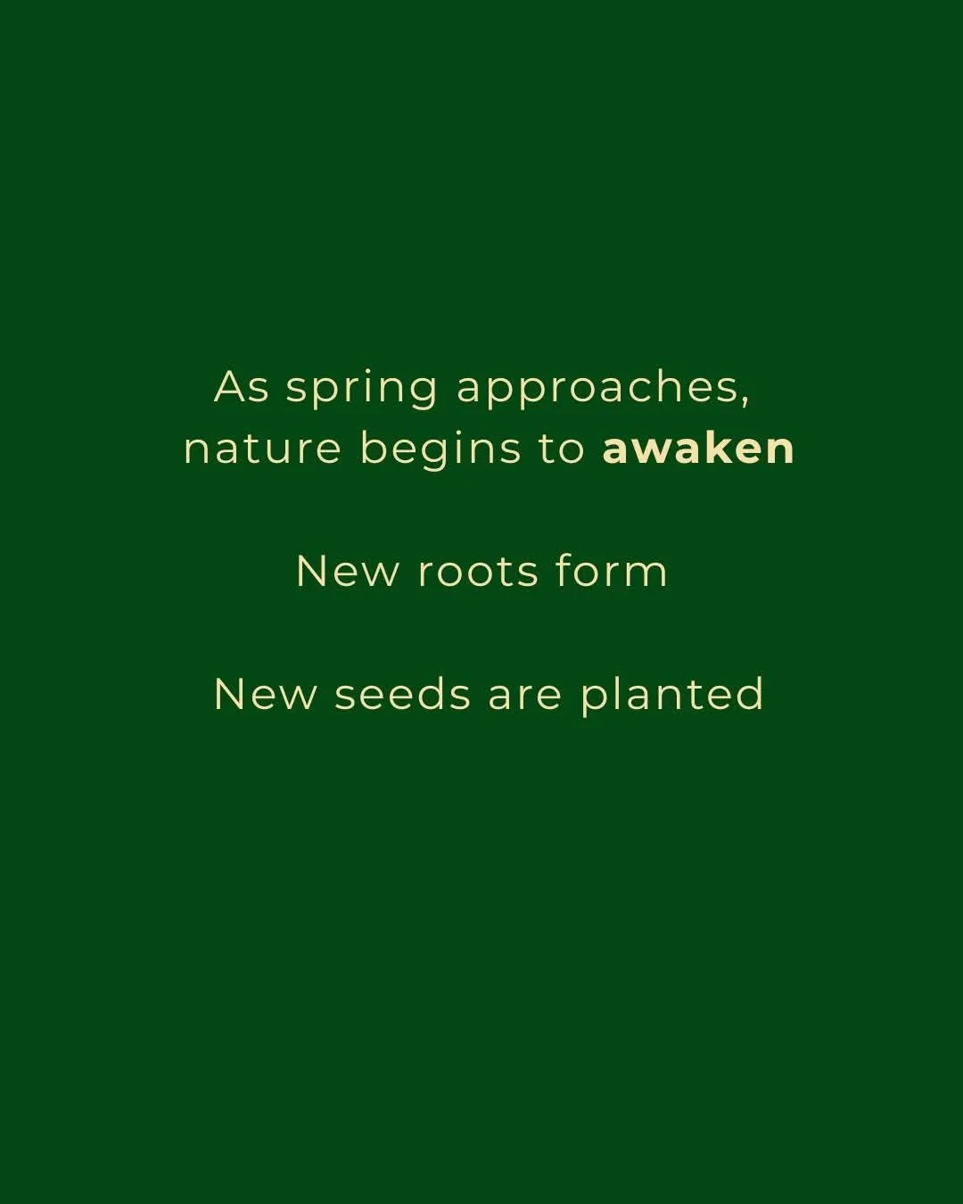 movementand mindfulness2.jpeg