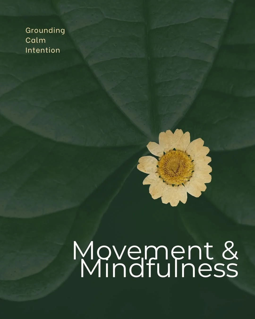 Movement and Mindfulness
