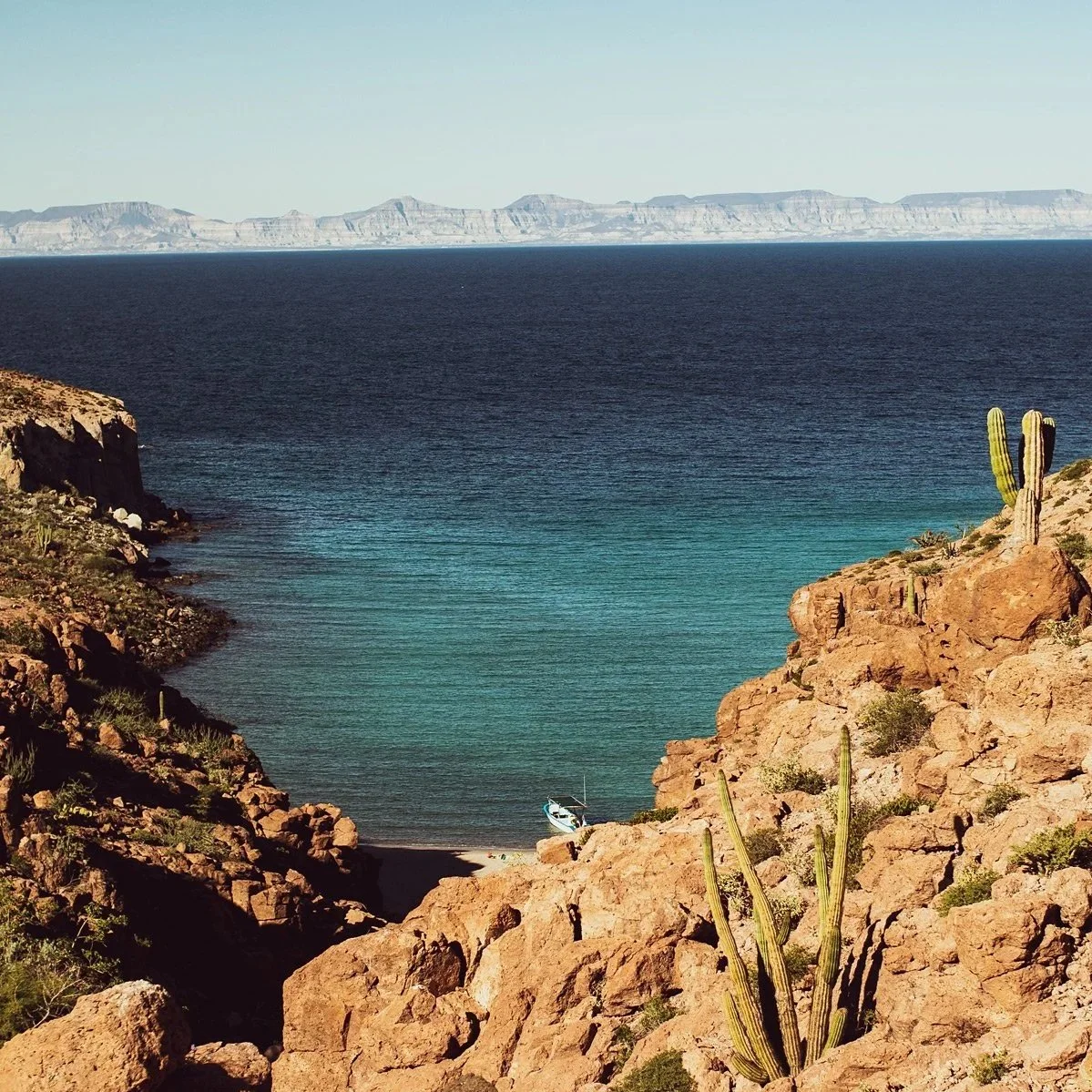 Baja-sampler-featured.jpg