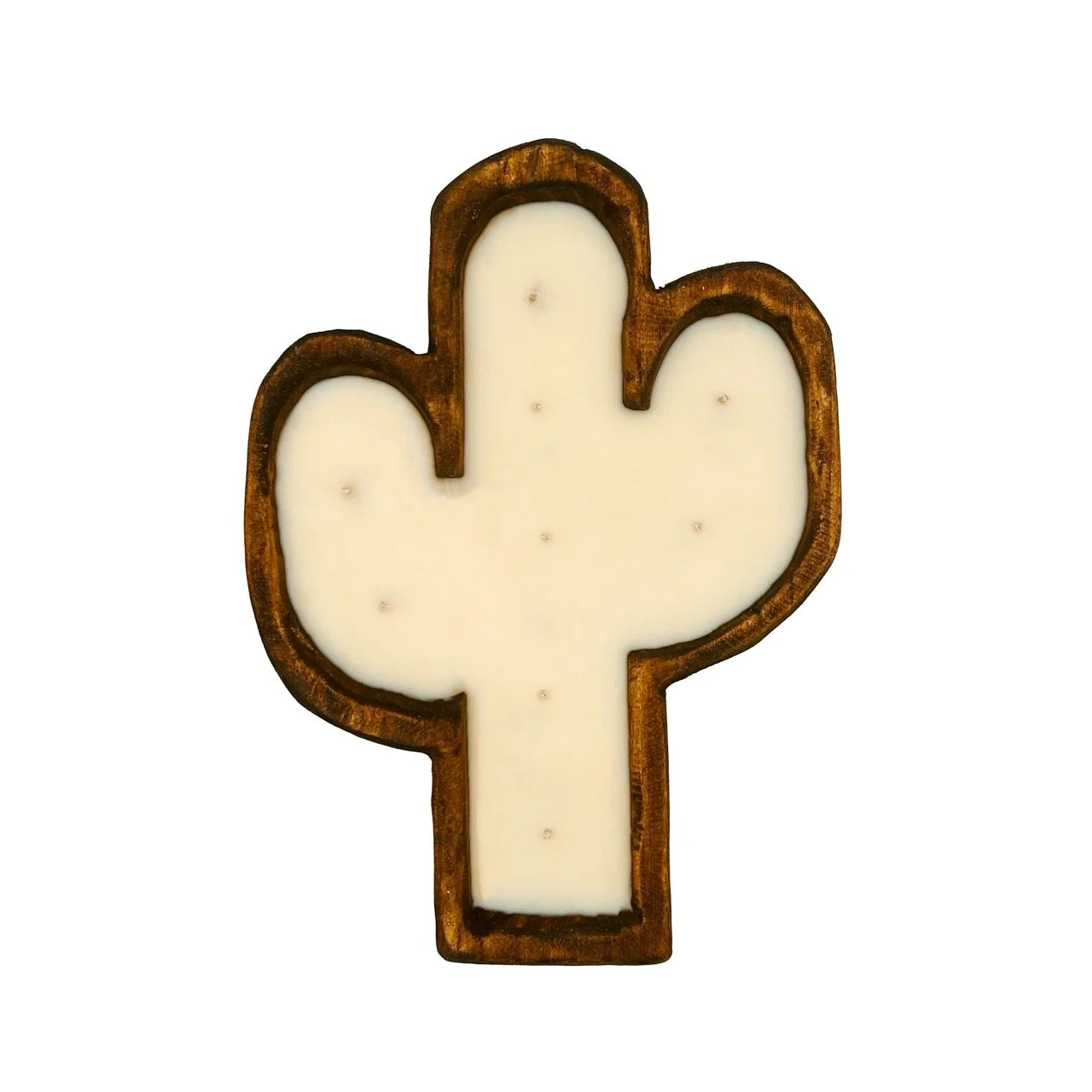 cactus plain Large.jpeg