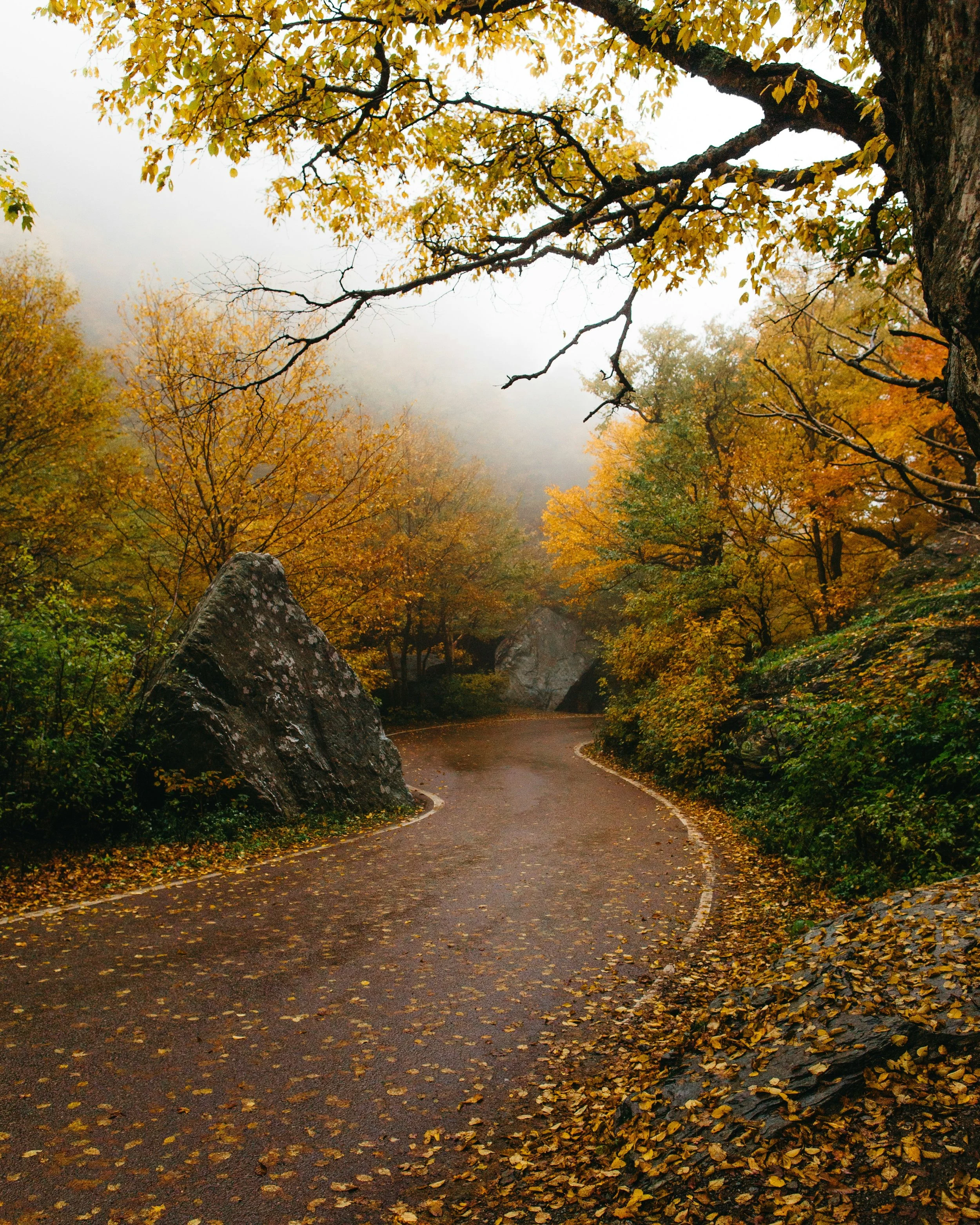 Upstate