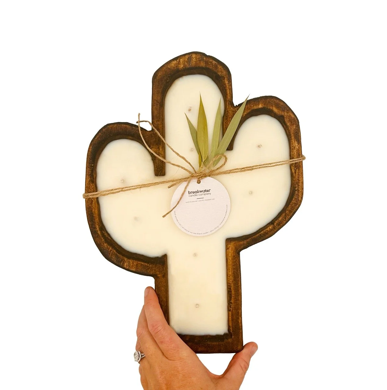 cactus hands Large.jpeg