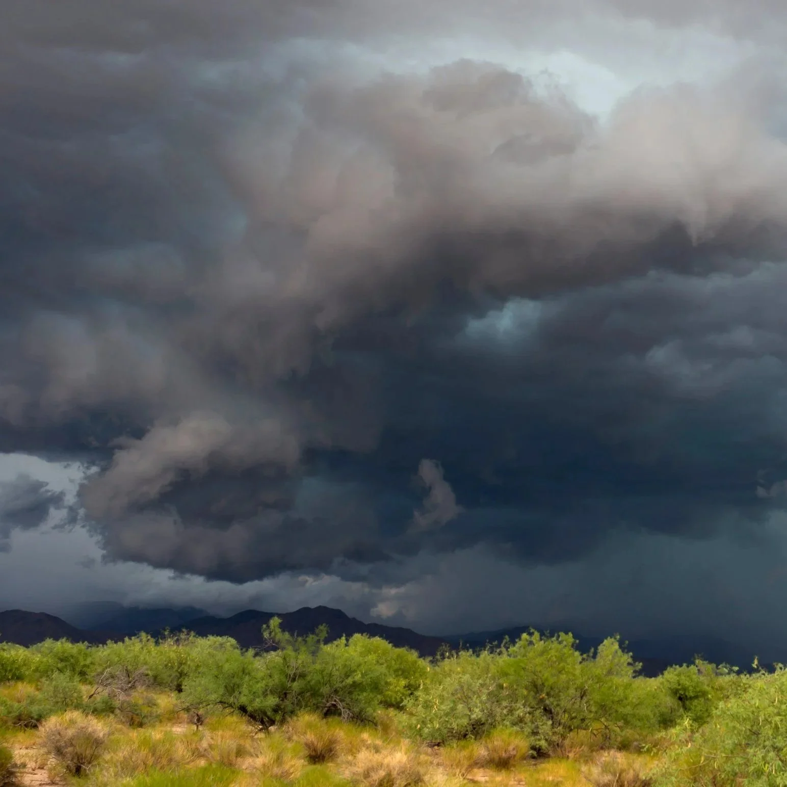 Monsoon
