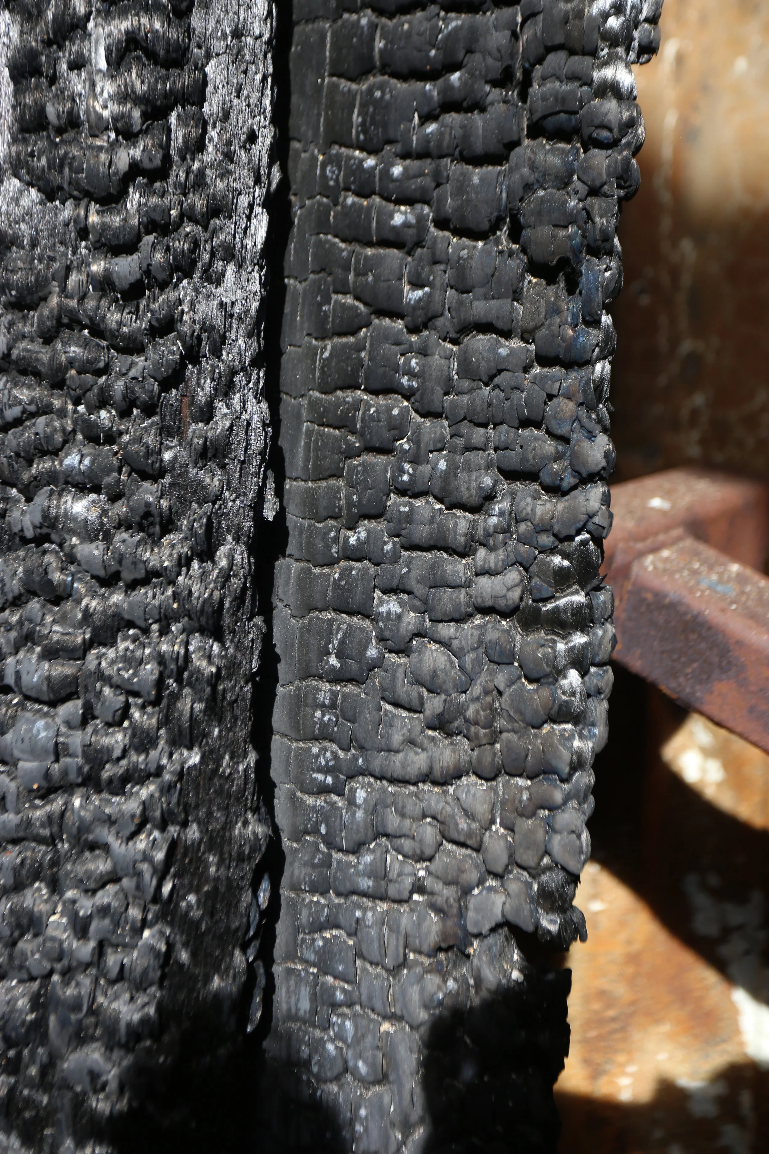 Close-up of two charred wooden logs showing blackened, burnt surfaces with cracked and peeling bark.