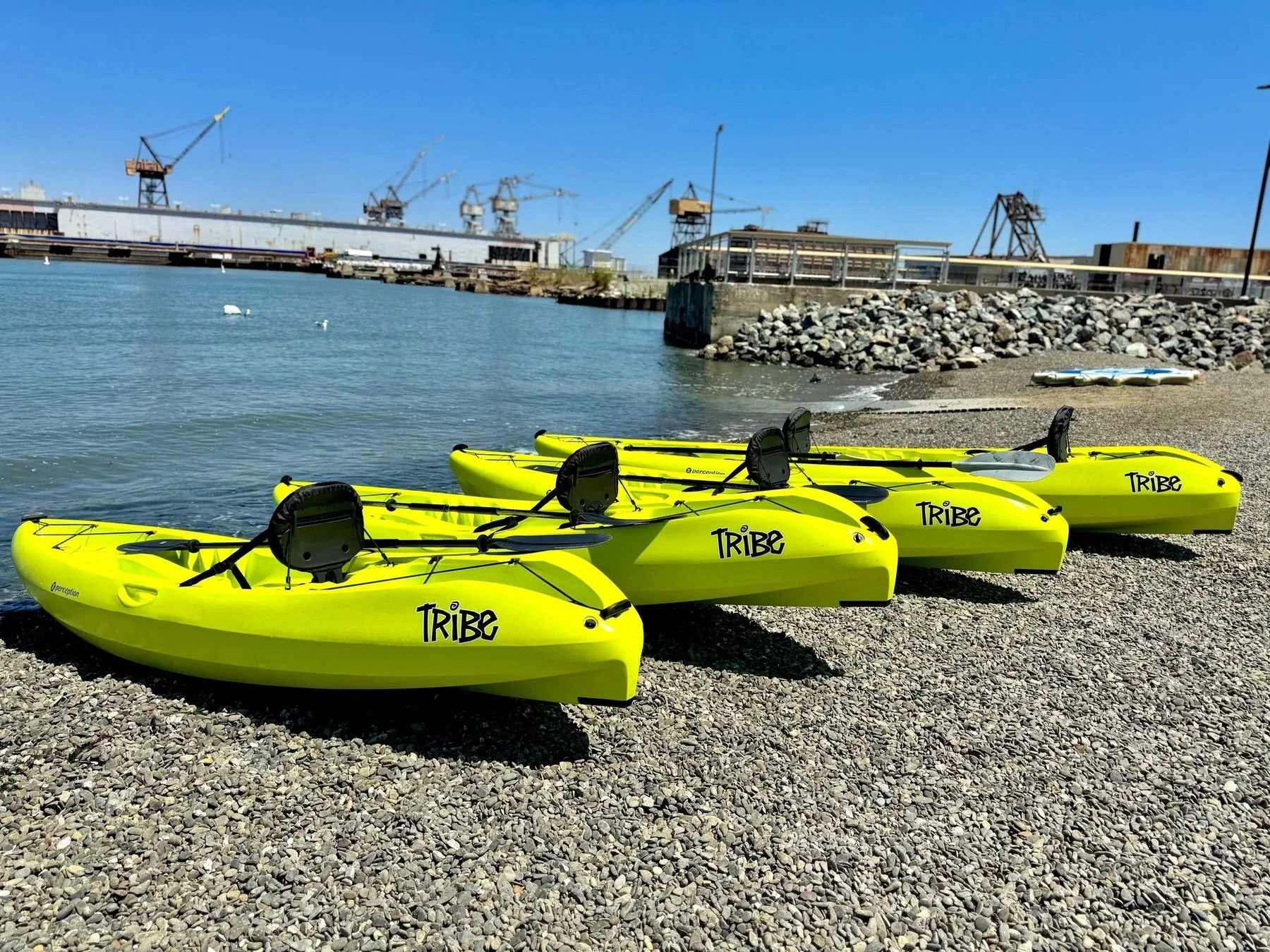 Yellow kayaks lined up on the beach at Crane Cove Park