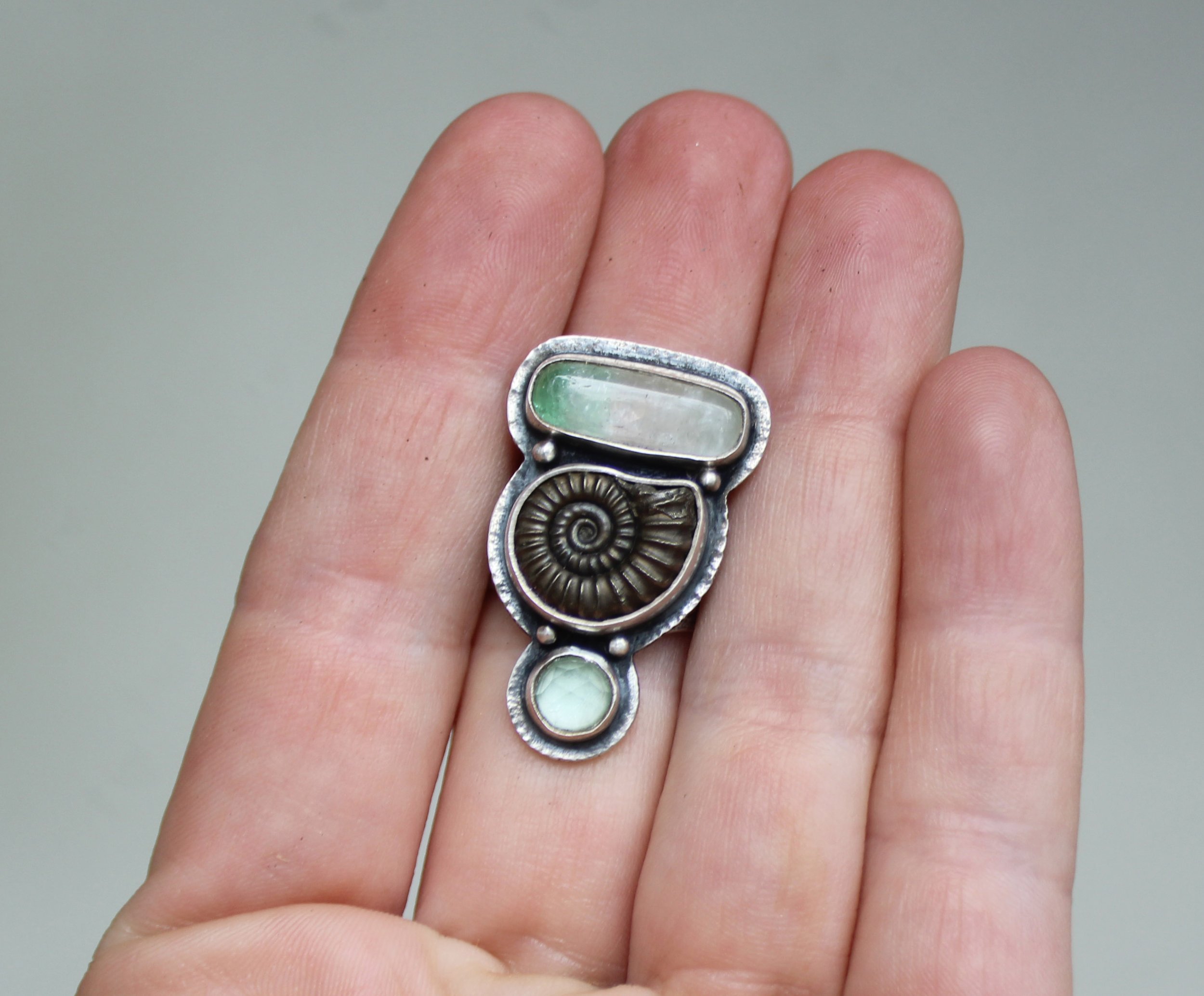 ammonite.jpg