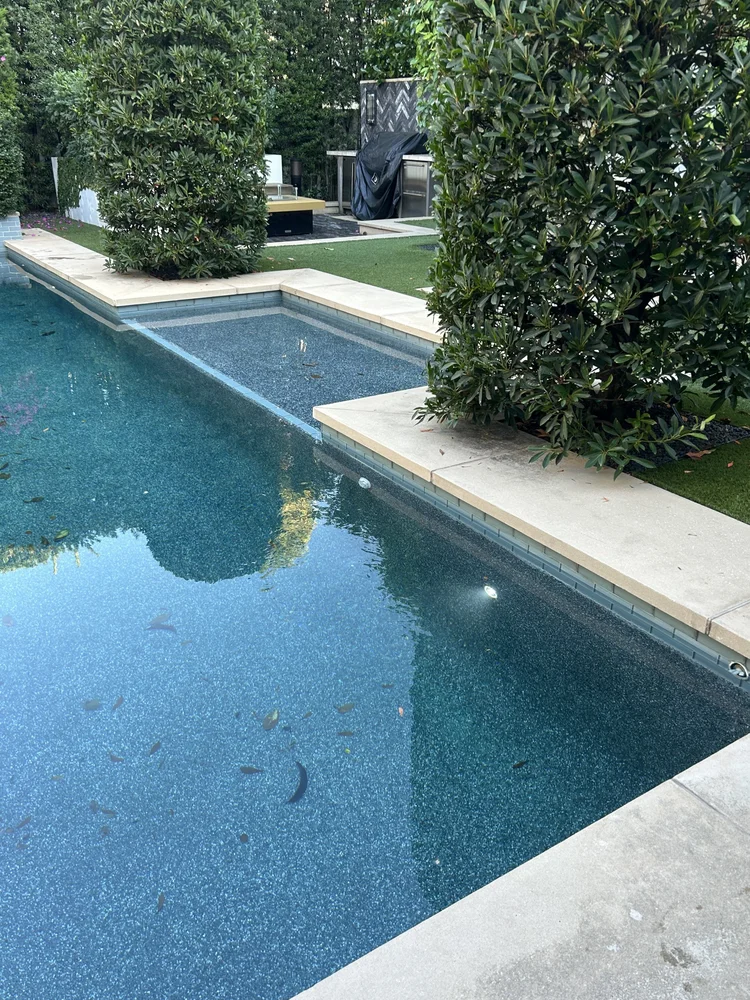 View along a filled pool beside a hedge and narrow deck.