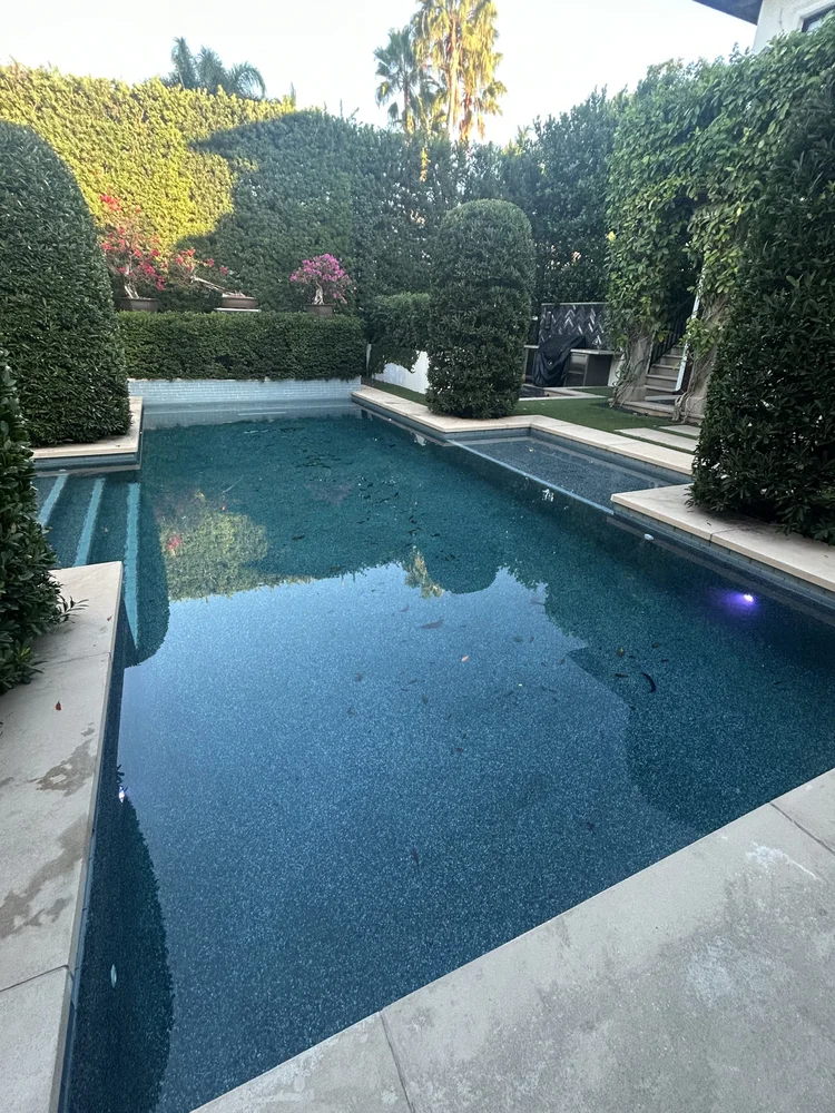 Residential pool surrounded by tropical landscaping.