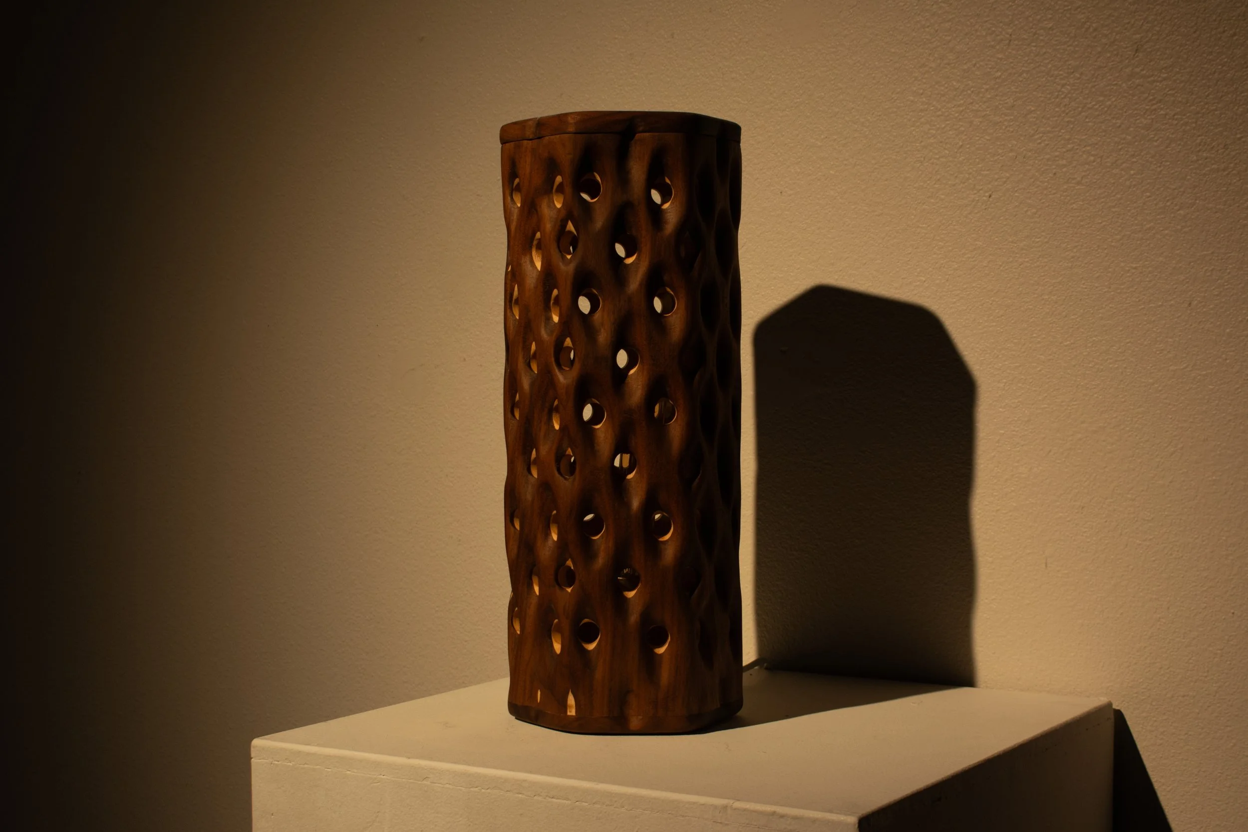 Wooden carved lamp, inspired by cactus skeleton