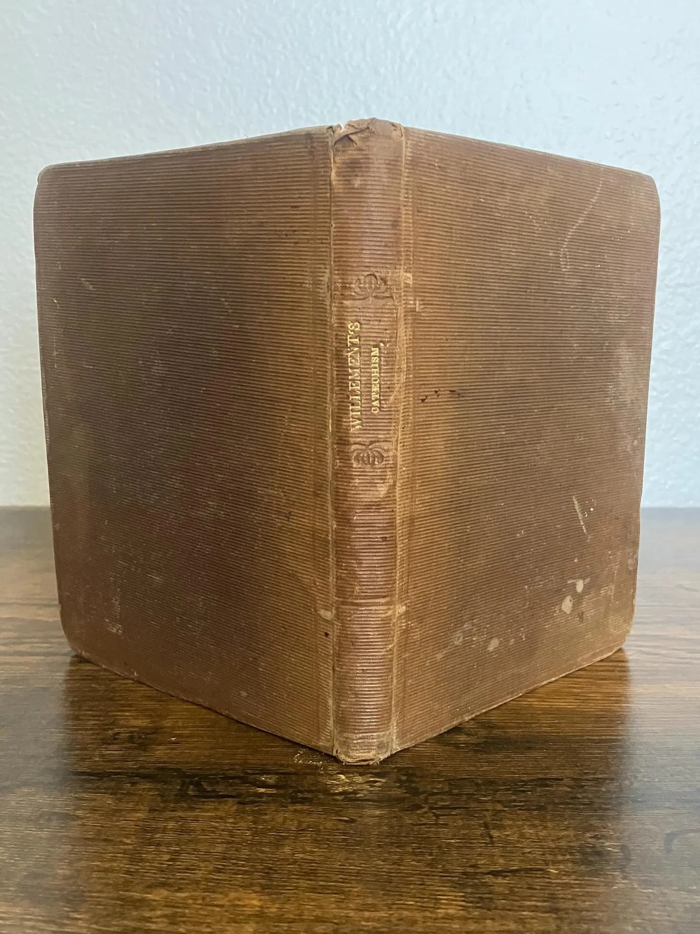 As a woman with disabilities and neurodivergence, Emily Elizabeth Willement brought a fresh perspective to natural history in her text A Catechism on the History of Things in Common Use (1844). &ldquo;To trace the sources from which common things spr