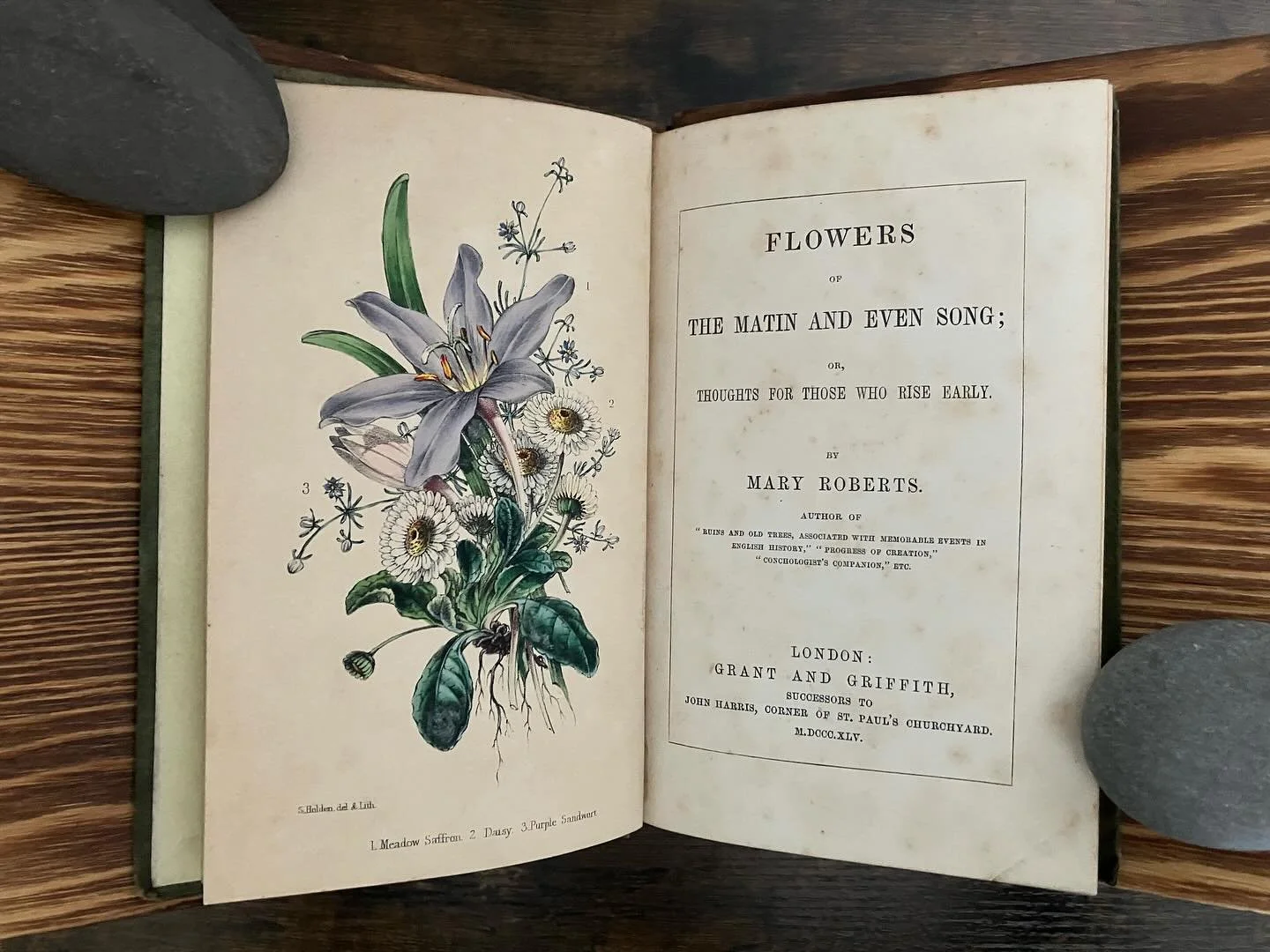 Our feeds are full of snowy scenes and winter chills, so today&rsquo;s cataloguing has provided some seasonal contrast. If in illustration only, Marie Jackson&rsquo;s The Florist&rsquo;s Manual (1816) and Mary Roberts&rsquo; Flowers of the Matin and 
