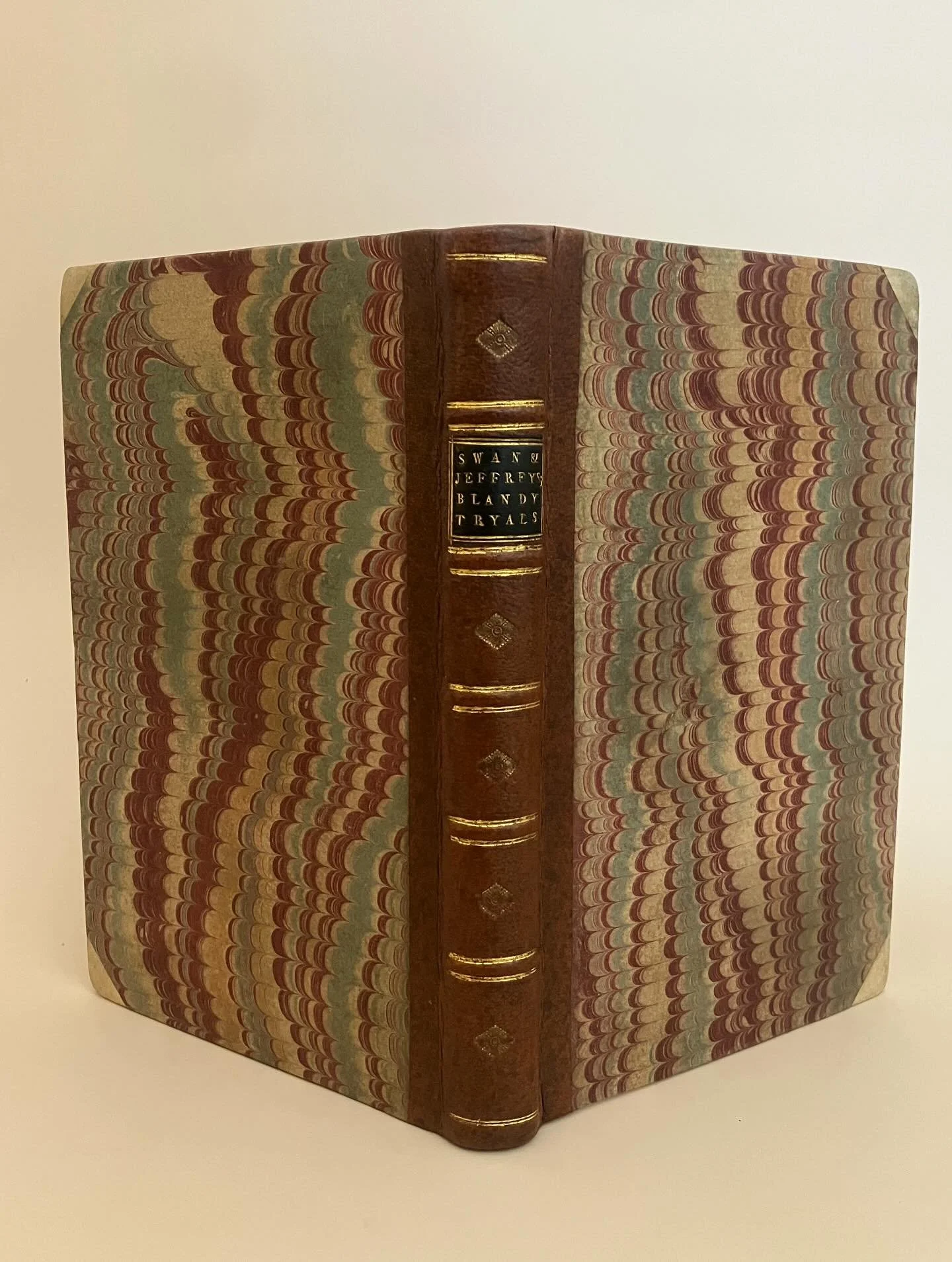 In 1752, Elizabeth Jeffryes was tried for the murder of her uncle and Mary Blandy was tried for the murder of her father. Literally and figuratively, the two women&rsquo;s alleged crimes subverted patriarchal authority over their lives and futures.

