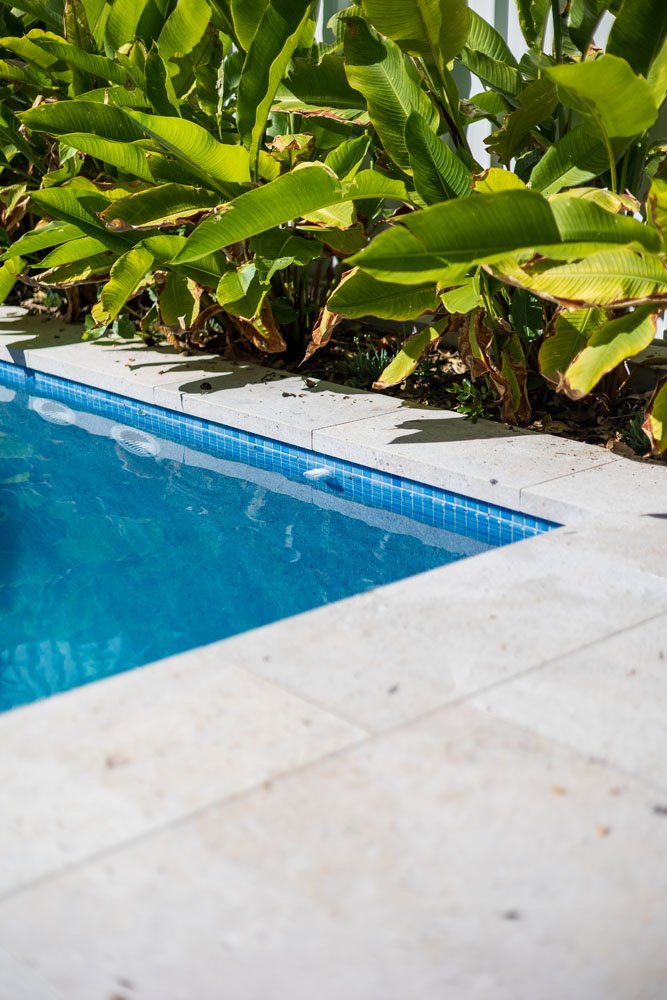 7 Wrightson Avenue, Bar Beach POOL Cam Photo [BK].jpg-13.jpg