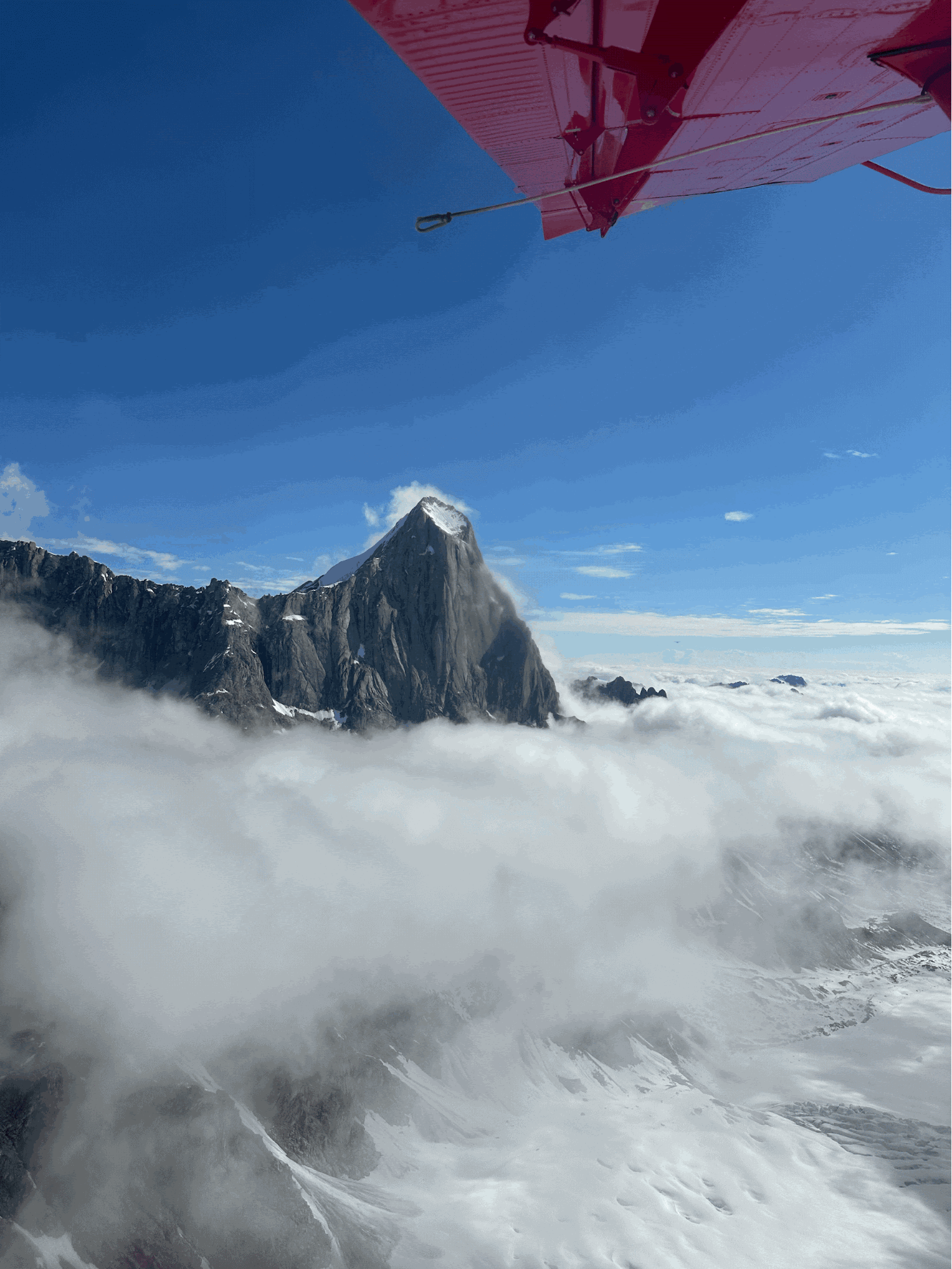 image17.gif