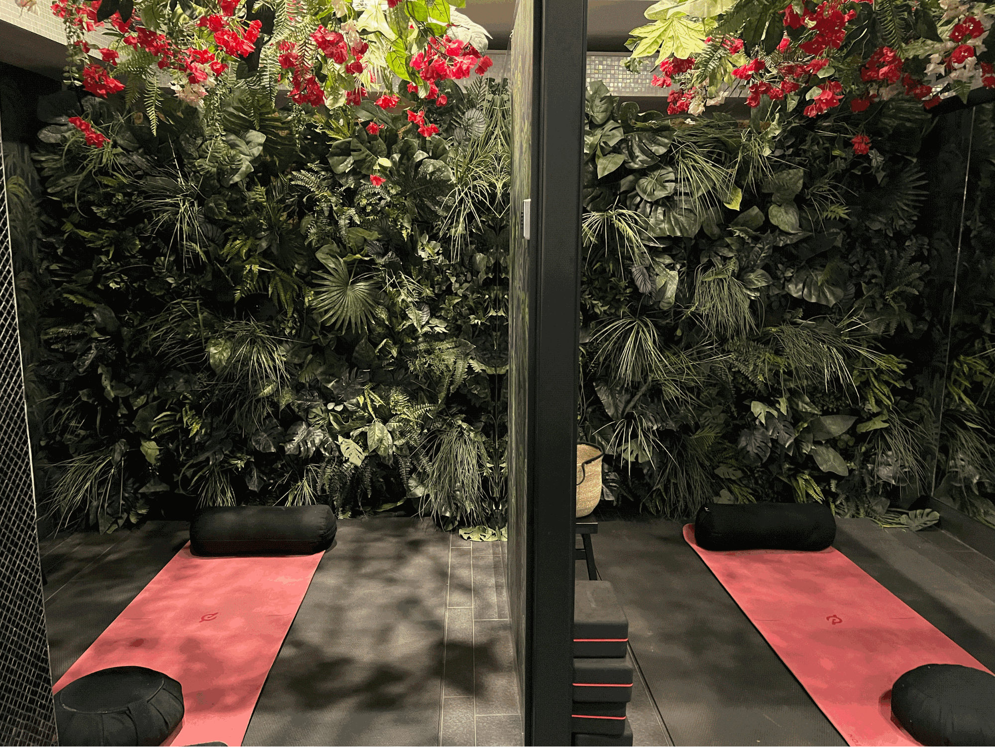 image5.gif
