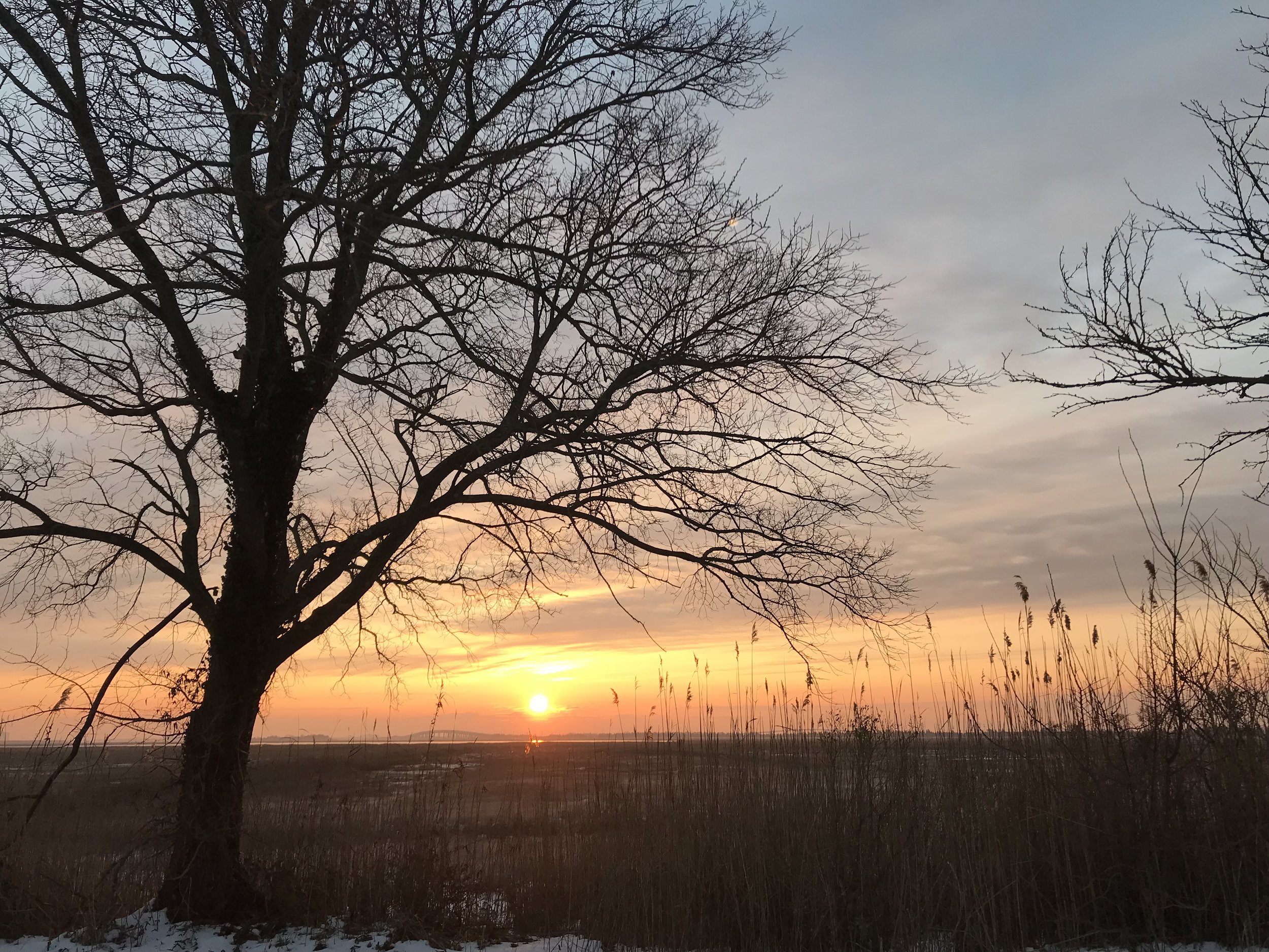 Leaning into You: Learning to Hear Your Intuition