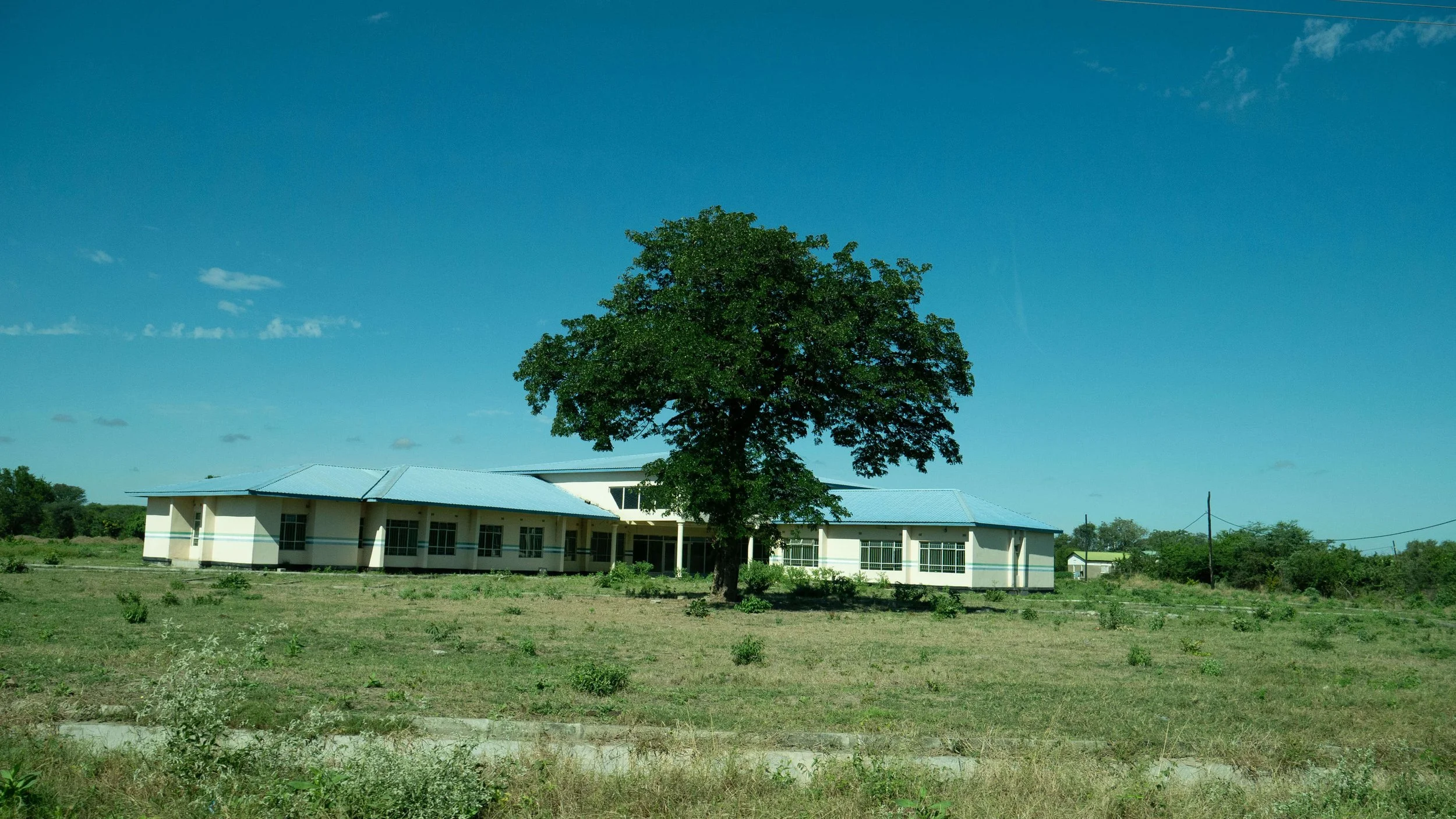 P1140217.jpg