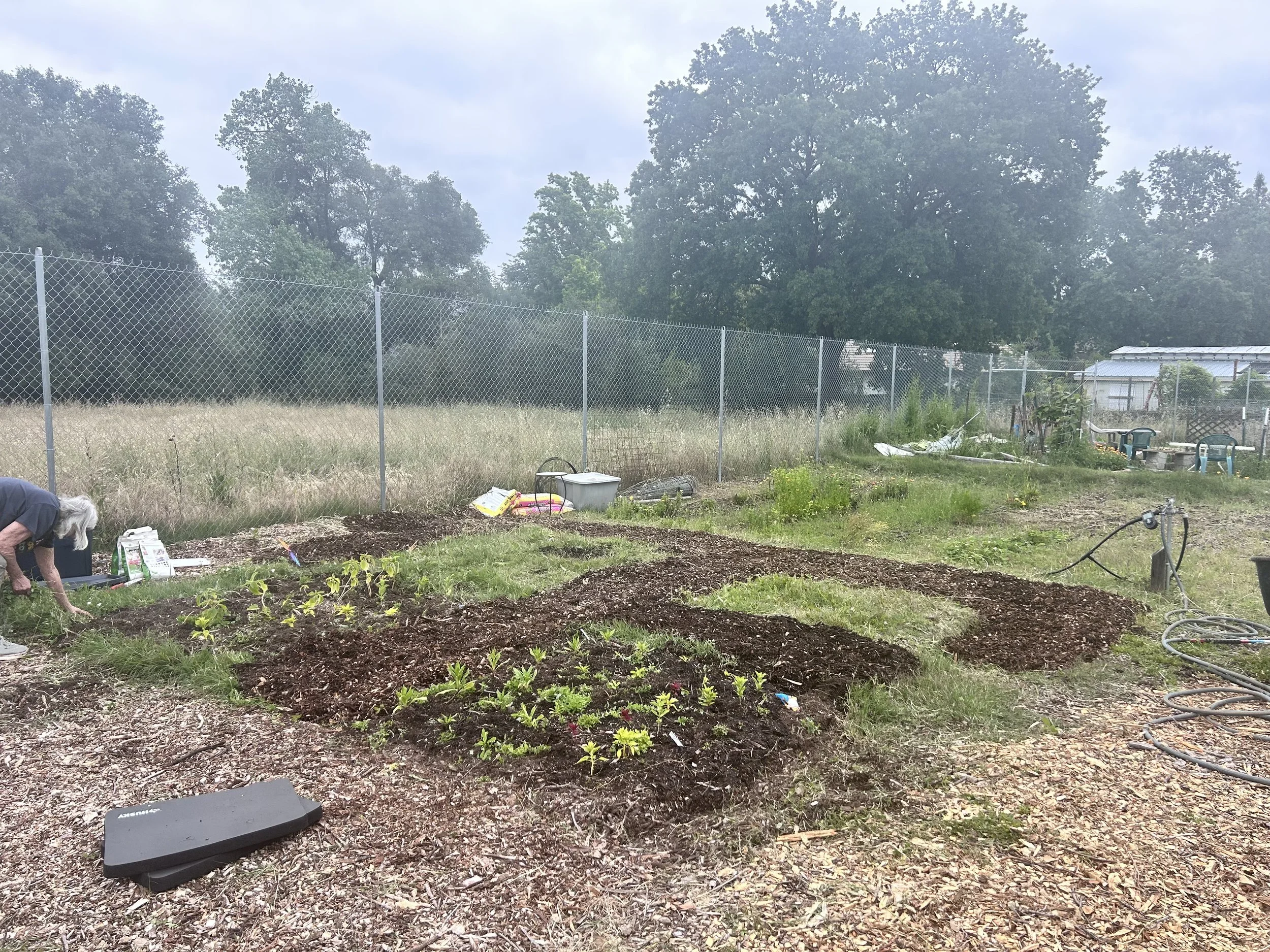 Newly planted flowers and mulched garden beds at Amari Home Health and Hospice community garden