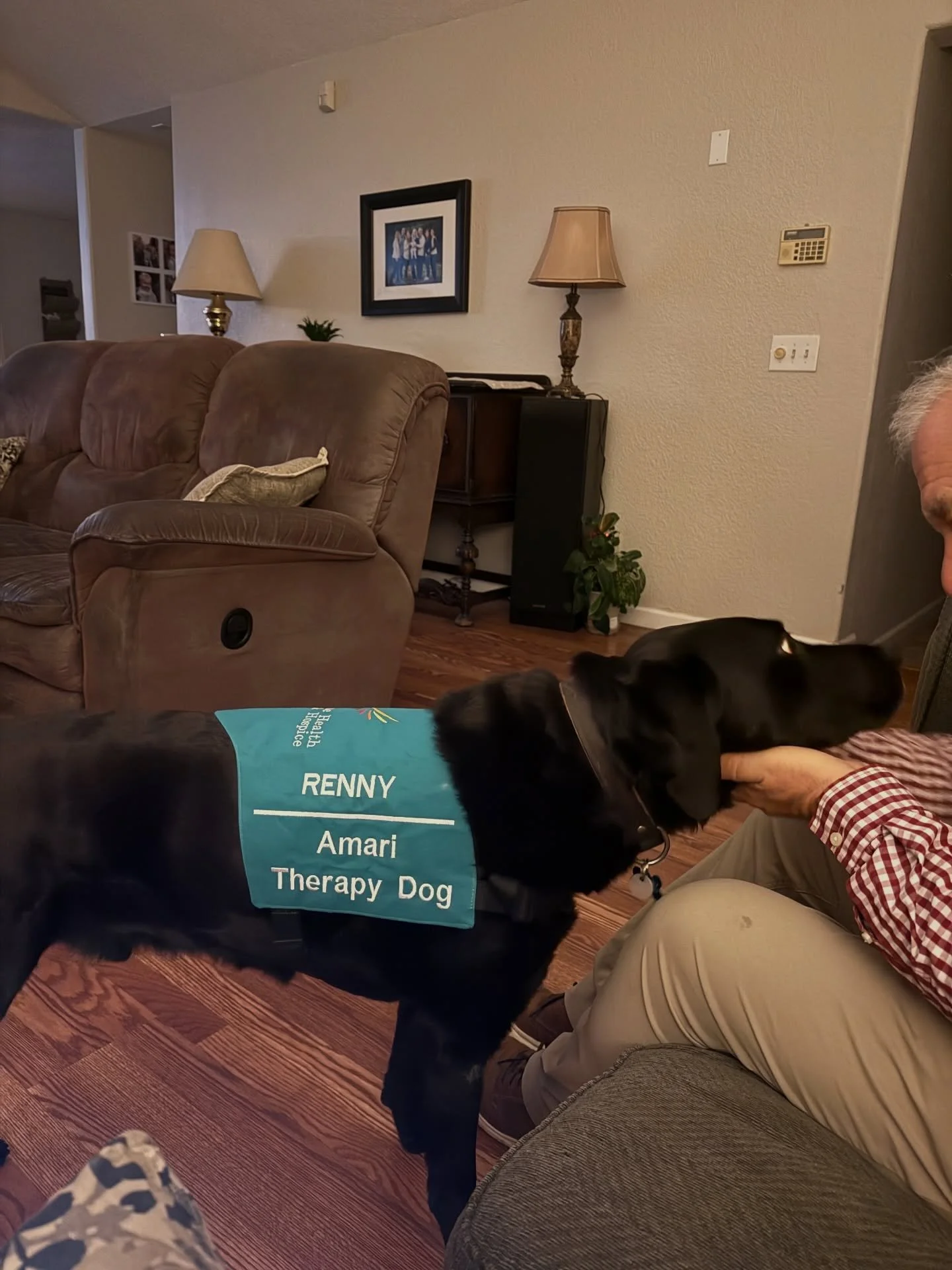 Introducing the newest member of the Amari family, Renny, our certified Therapy Dog!🐶 he is officially ready for his first day of work!

A wagging tail can open hearts, ease pain, and create peaceful connections for patients and families alike. Cont
