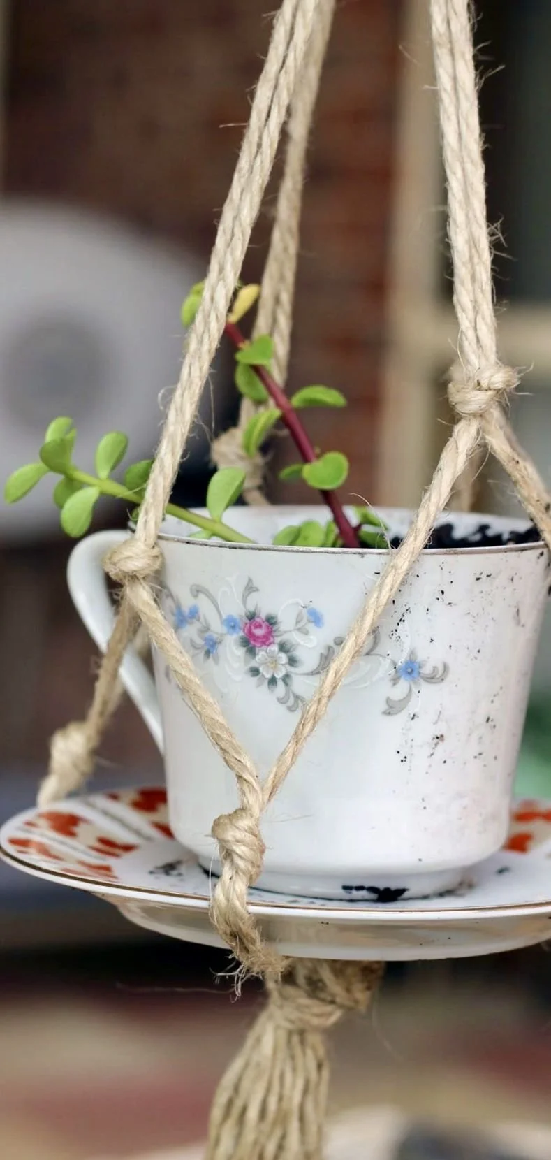 Mother’s Day Event