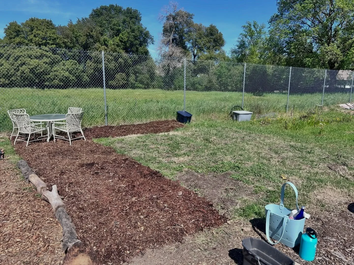✨ A little sneak peek of something special in the works&hellip;

After learning that the organization that used to donate bouquets to hospice agencies closed, we started thinking: what if we grew our own flowers to share with our patients and familie