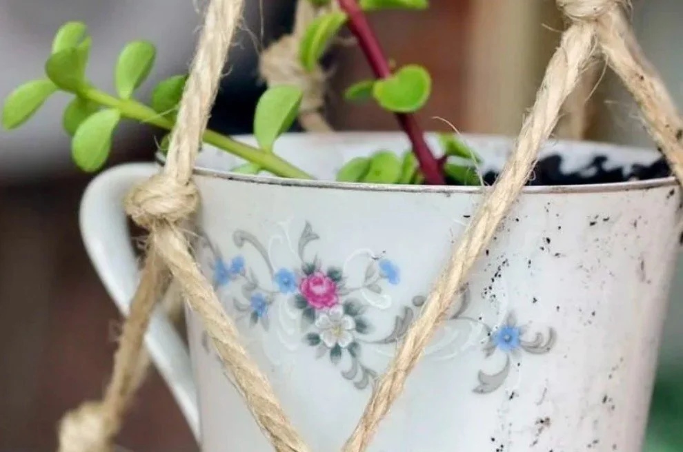 Save the Date!

Friday, May 8, 2026
9:00 AM  2:00 PM
Amari Home Health and Hospice
6720 Fair Oaks Blvd. #100 Carmichael, CA 95608

Mother&rsquo;s Day can bring a mixture of love, gratitude, and tender remembrance. We invite you to join us for a speci